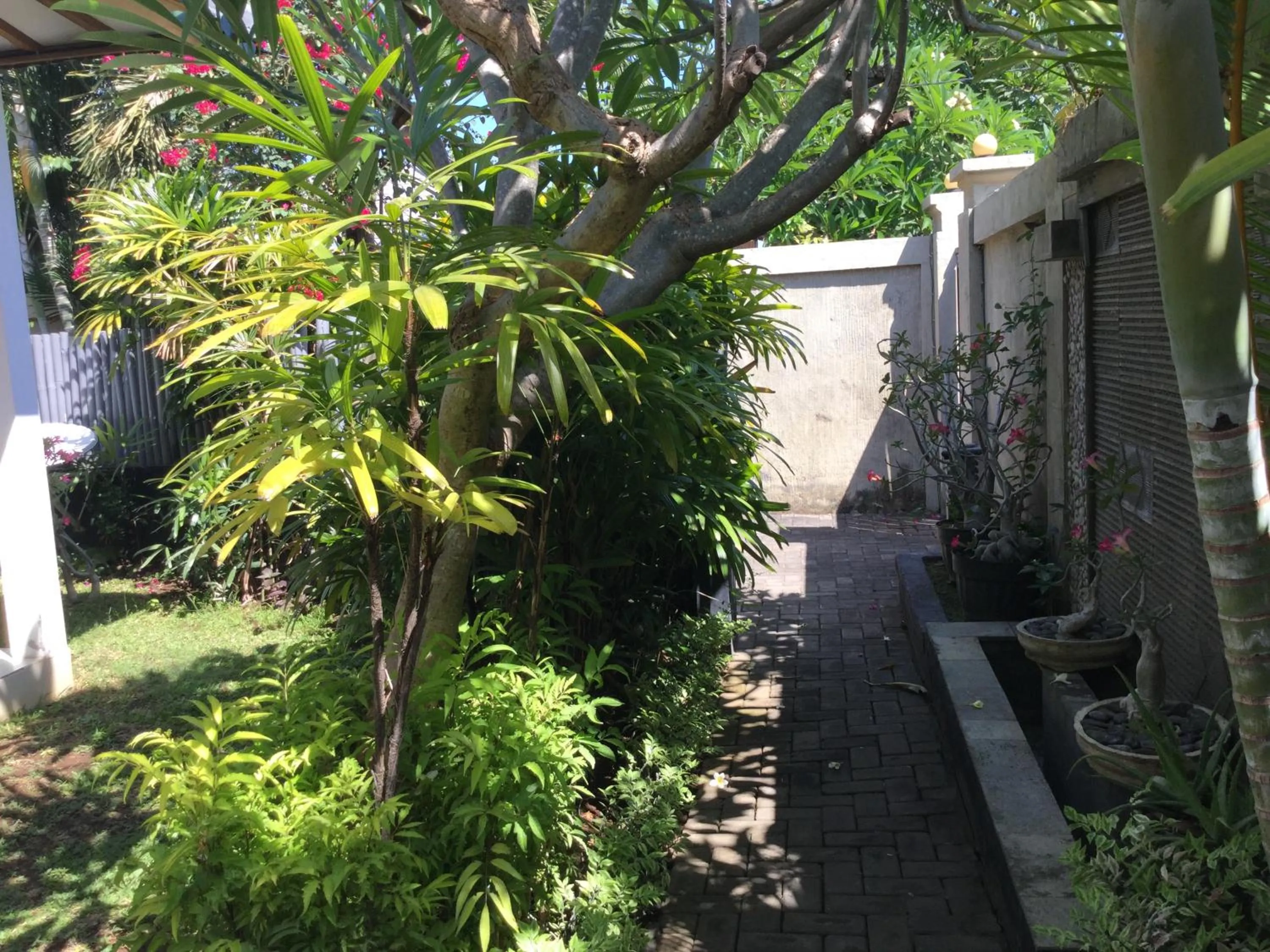 Garden in Kartika Villas