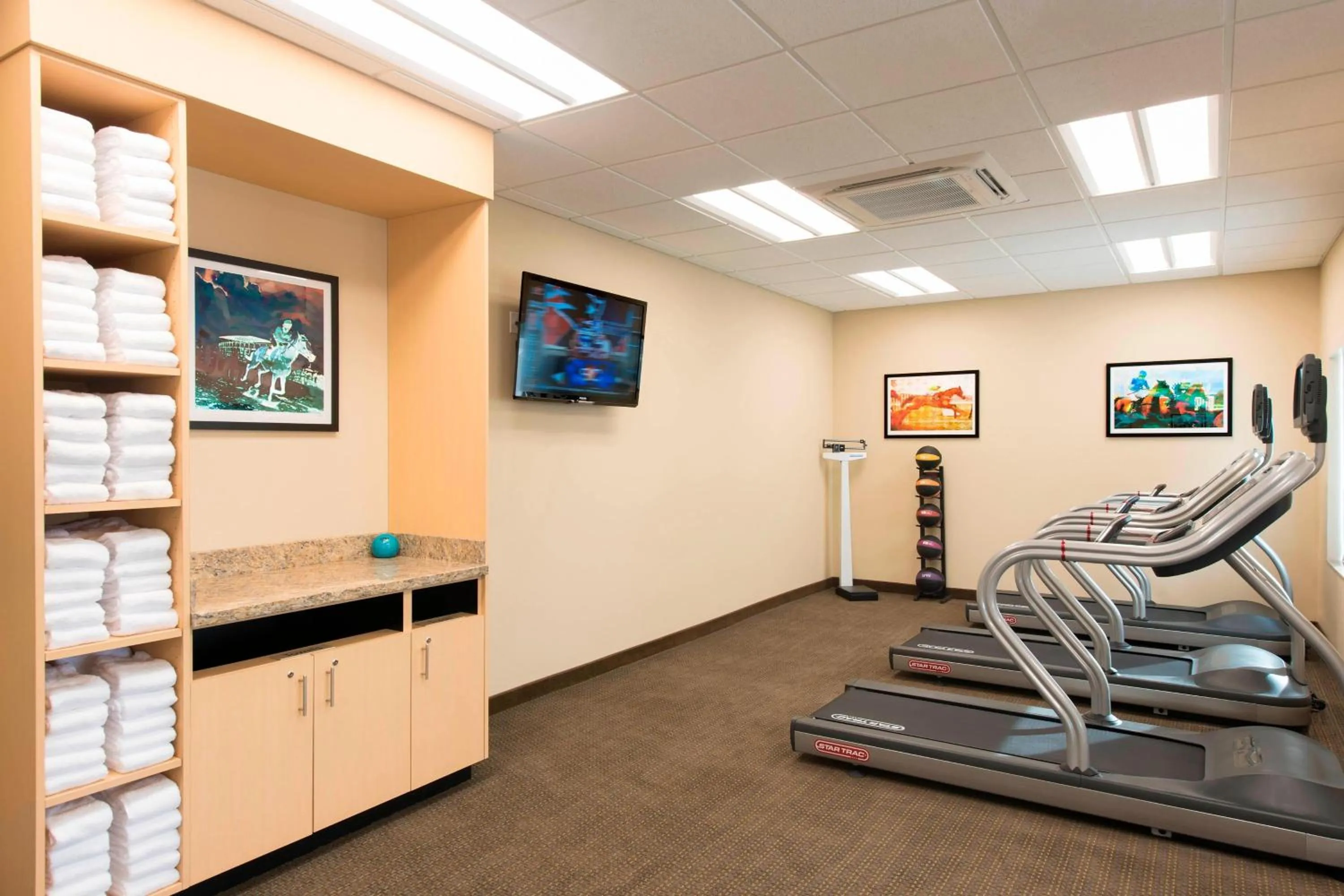 Fitness centre/facilities in TownePlace Suites by Marriott Lexington South/Hamburg Place