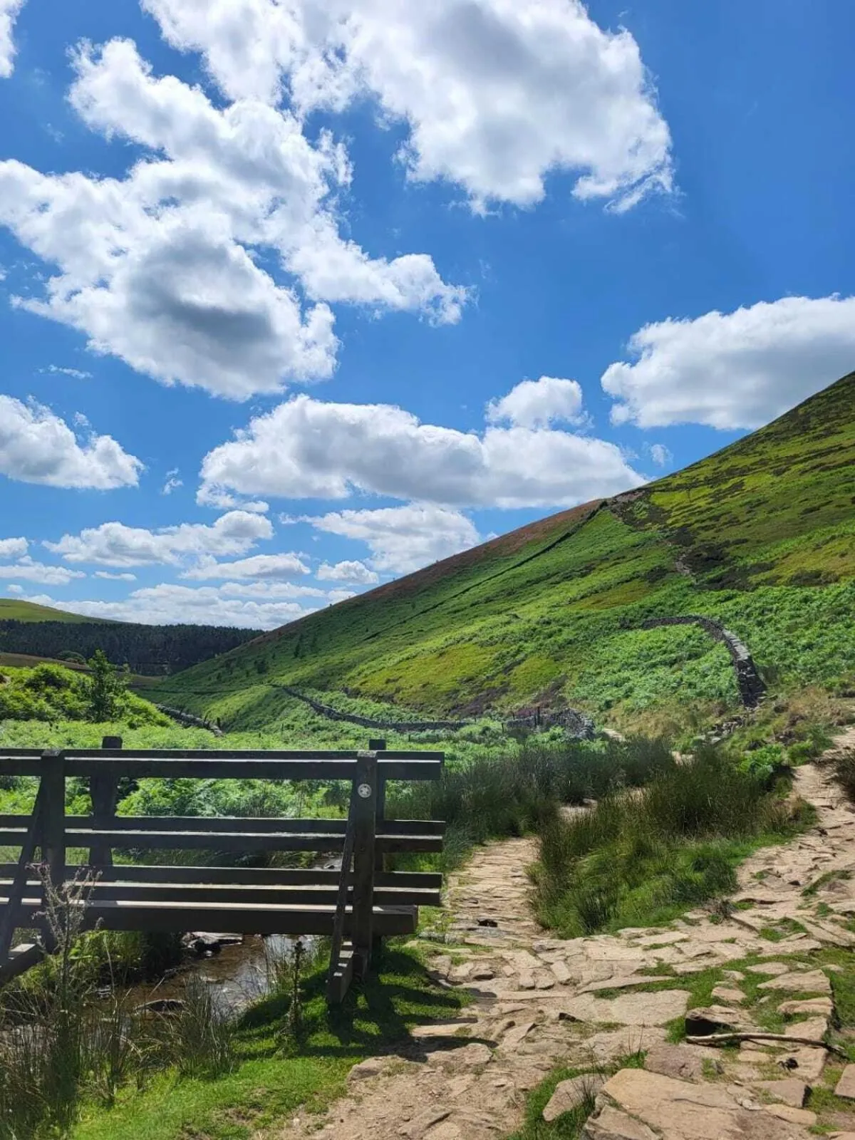 Natural landscape in The Waltzing Weasel