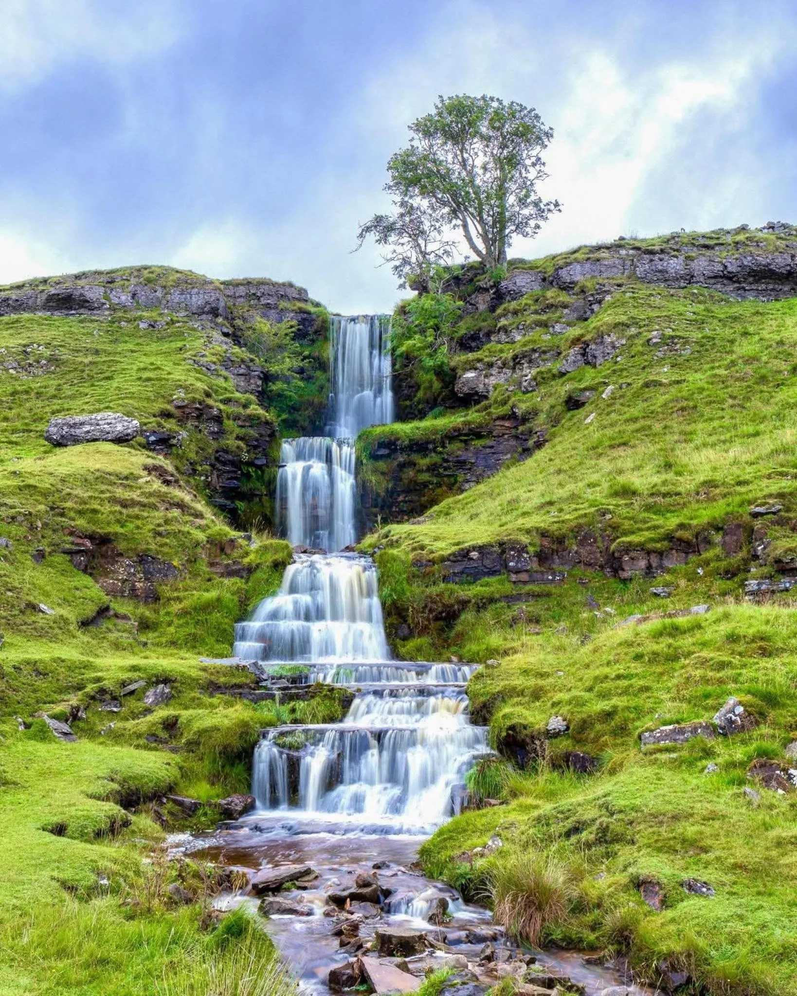 Natural landscape in The Waltzing Weasel