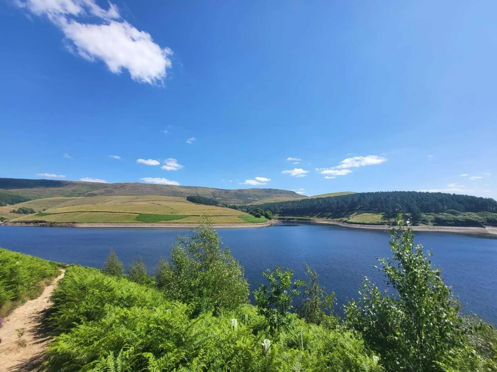 Natural landscape in The Waltzing Weasel