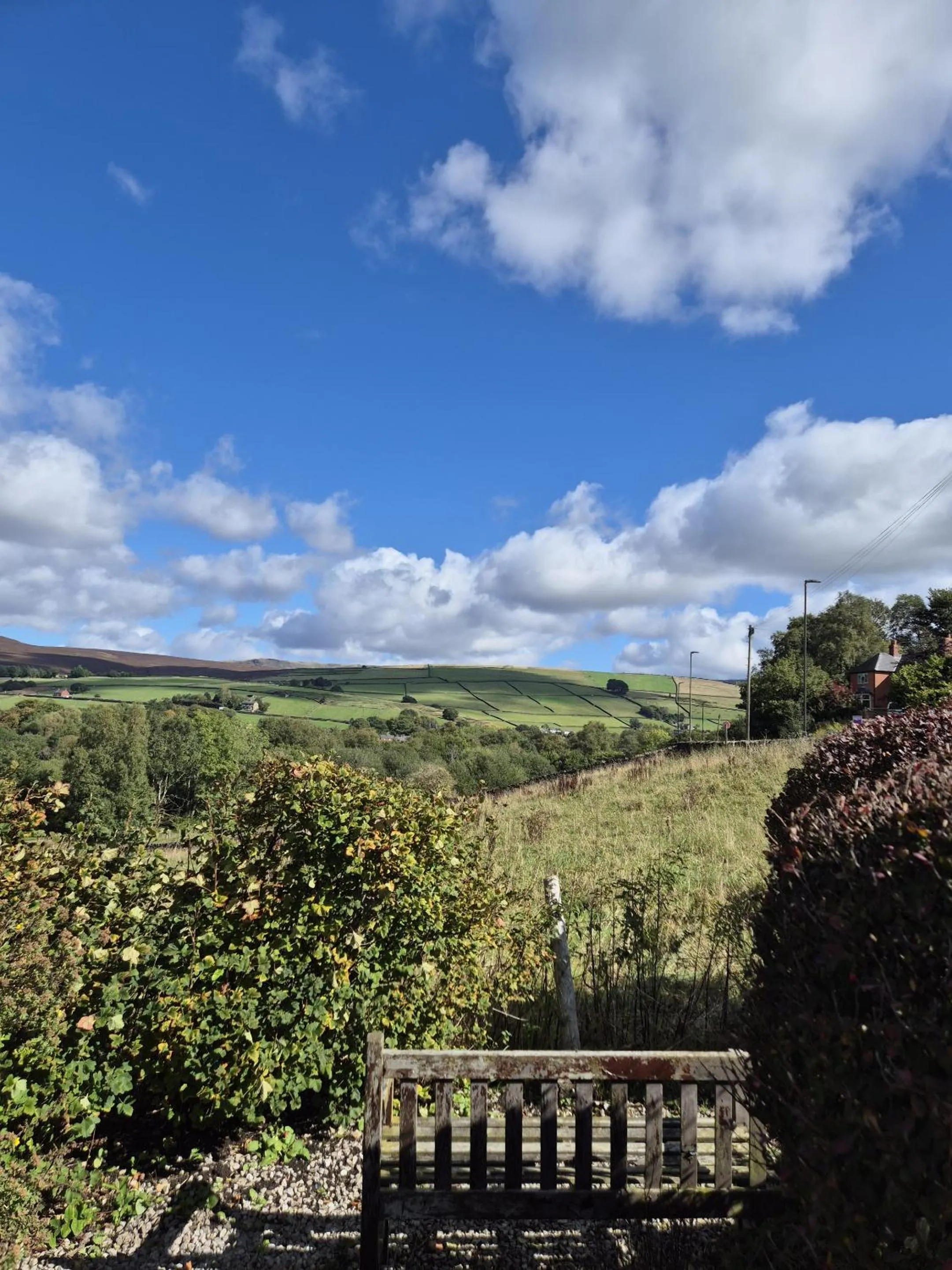 View (from property/room) in The Waltzing Weasel