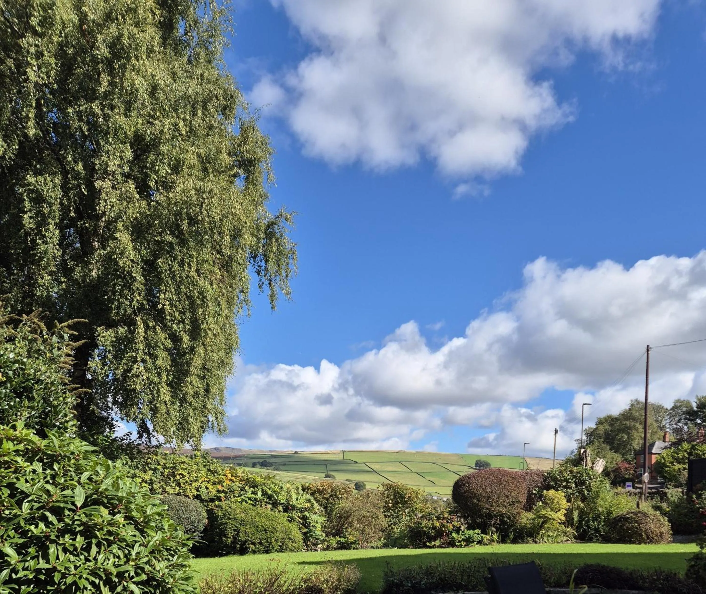 Natural landscape in The Waltzing Weasel