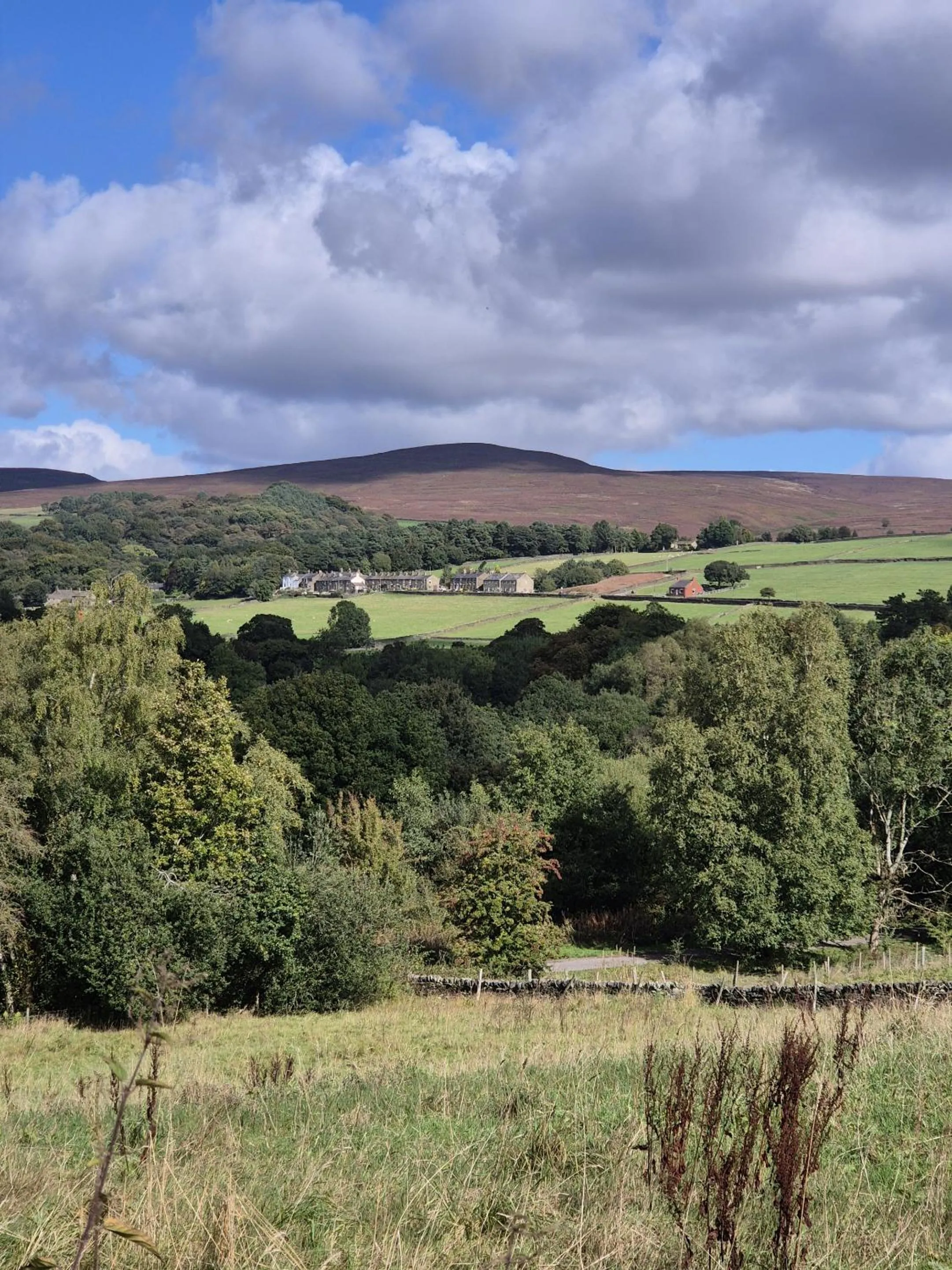 View (from property/room) in The Waltzing Weasel