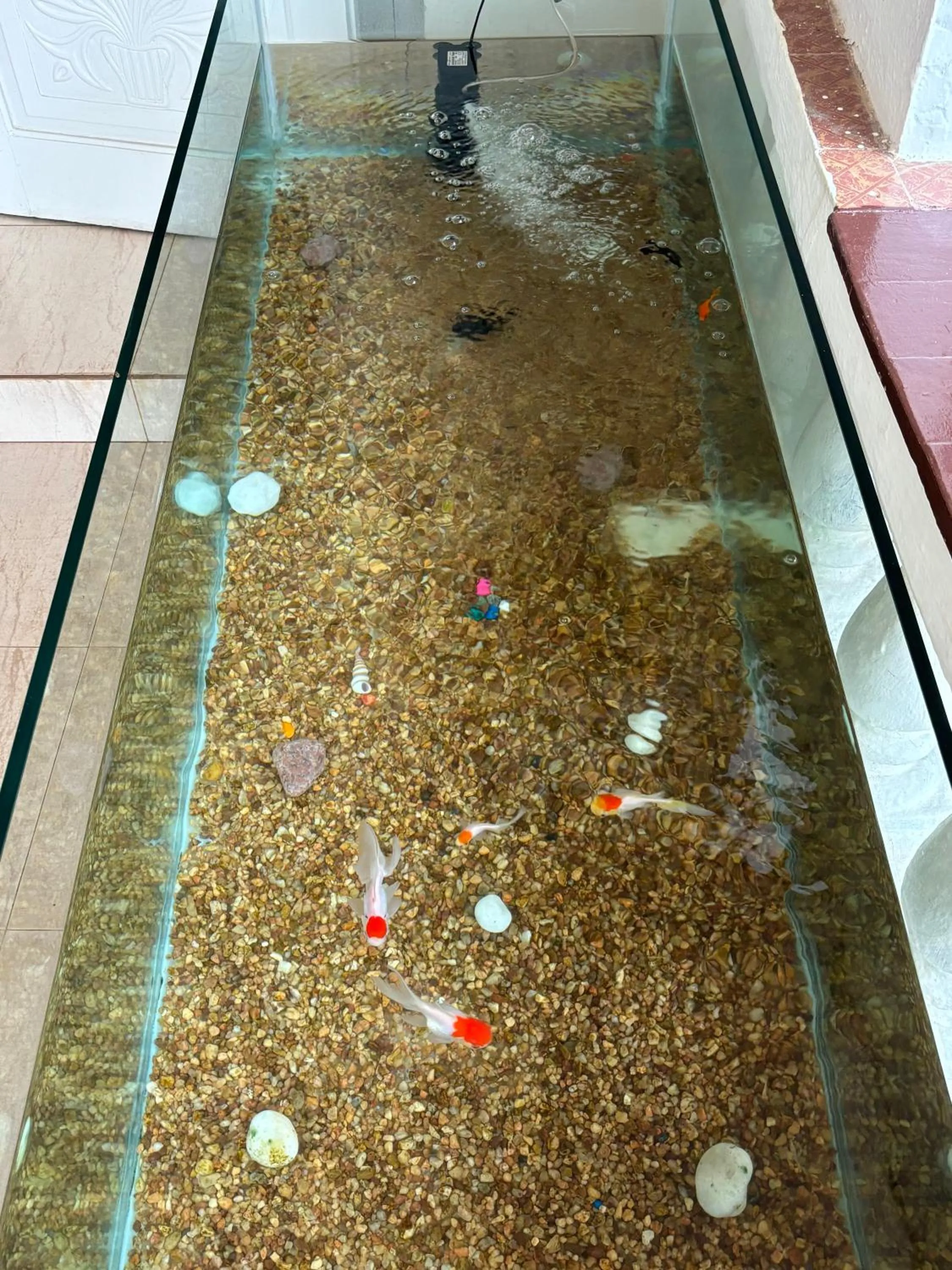 Holiday Beach Resort