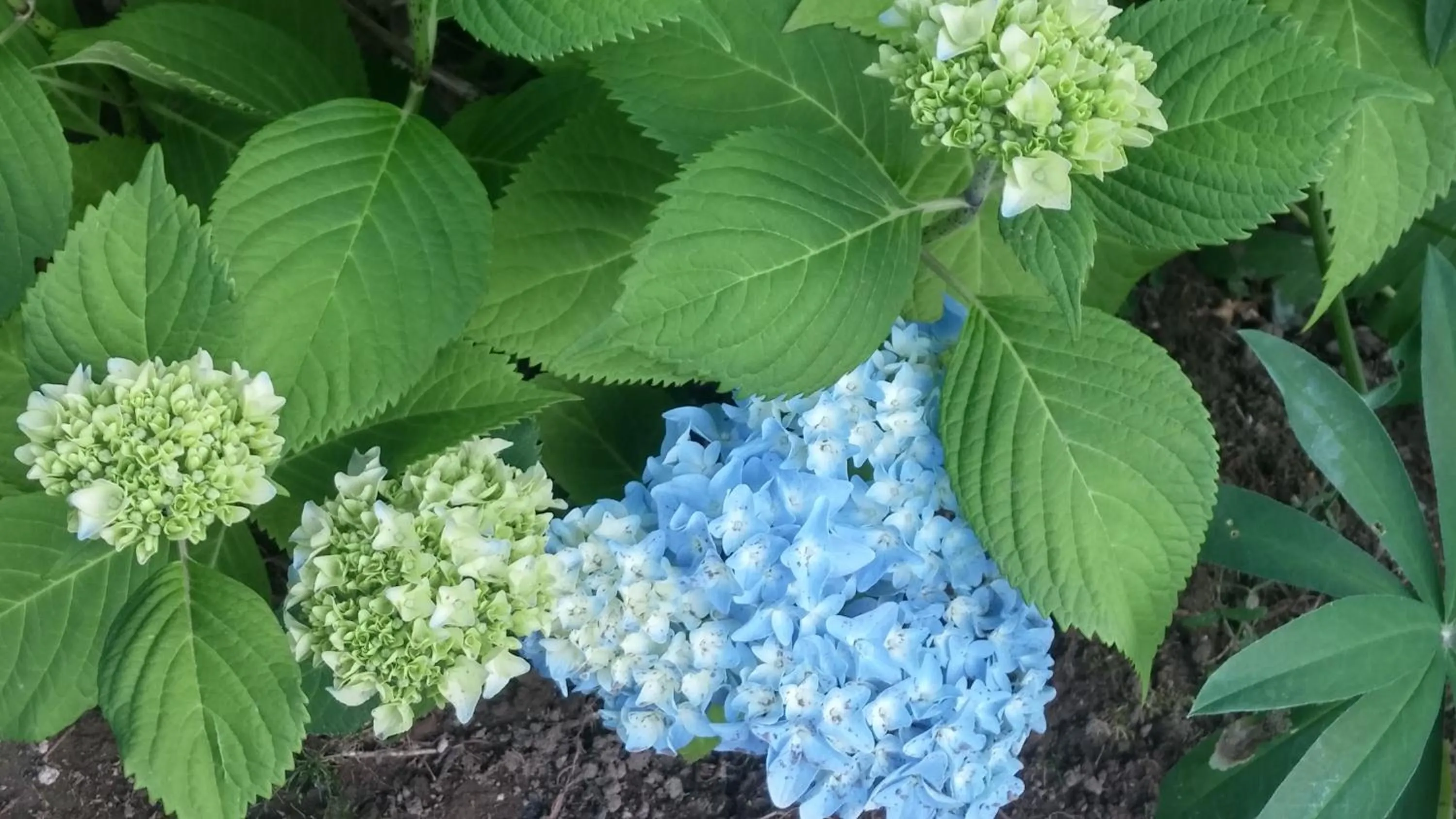 Other in Cornerstone Bed and Breakfast