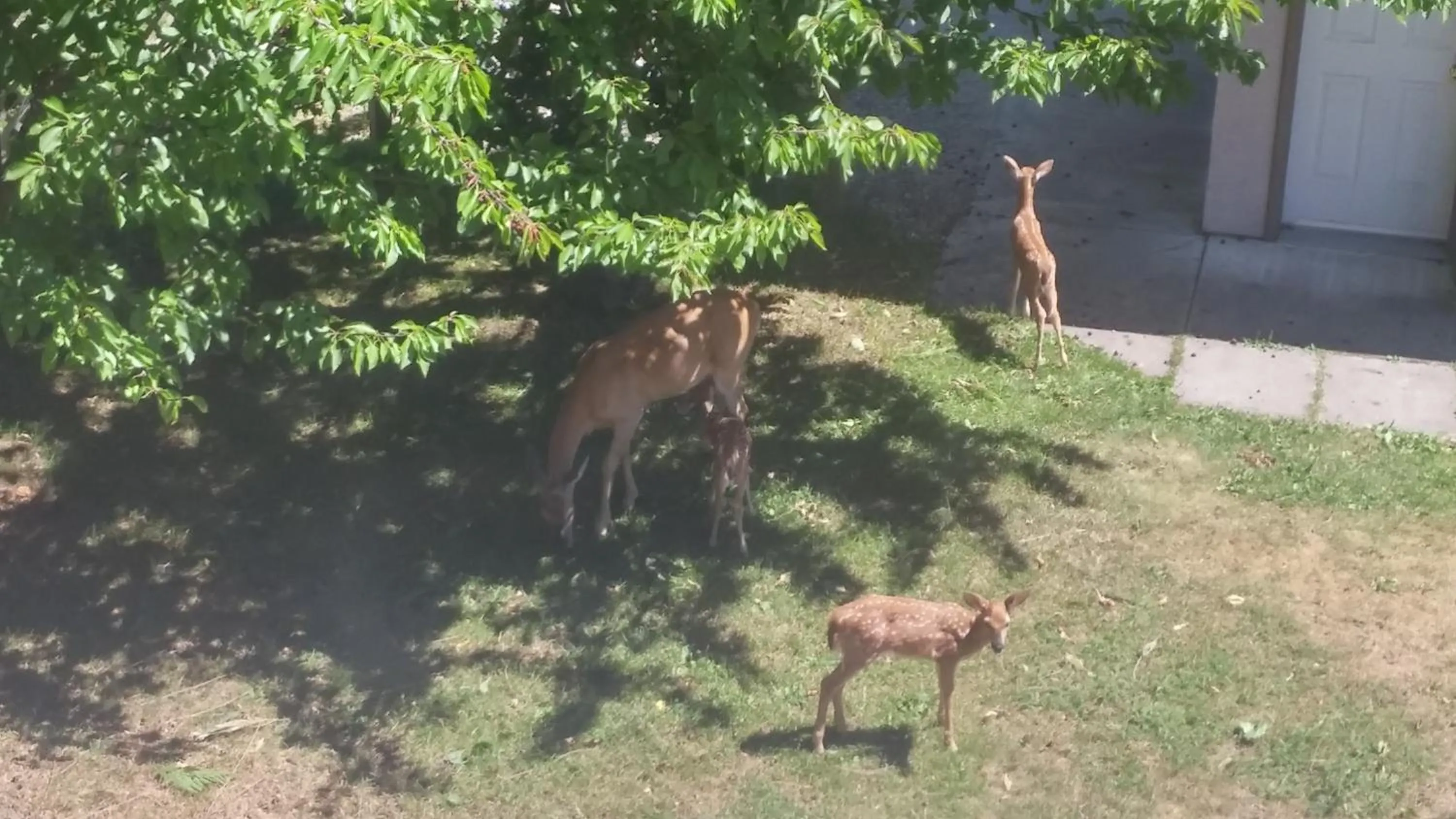 Other in Cornerstone Bed and Breakfast