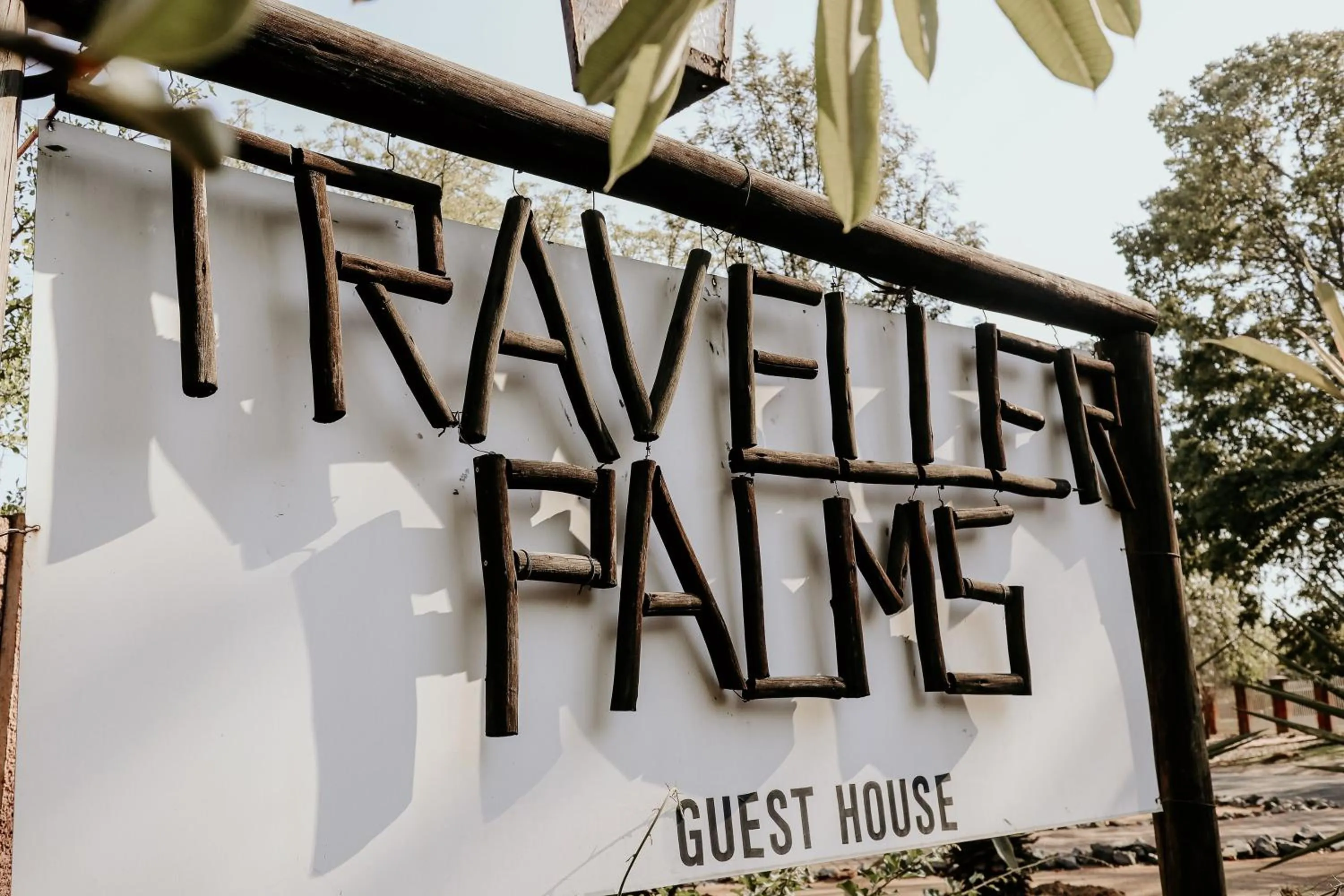 A Traveller's Palm