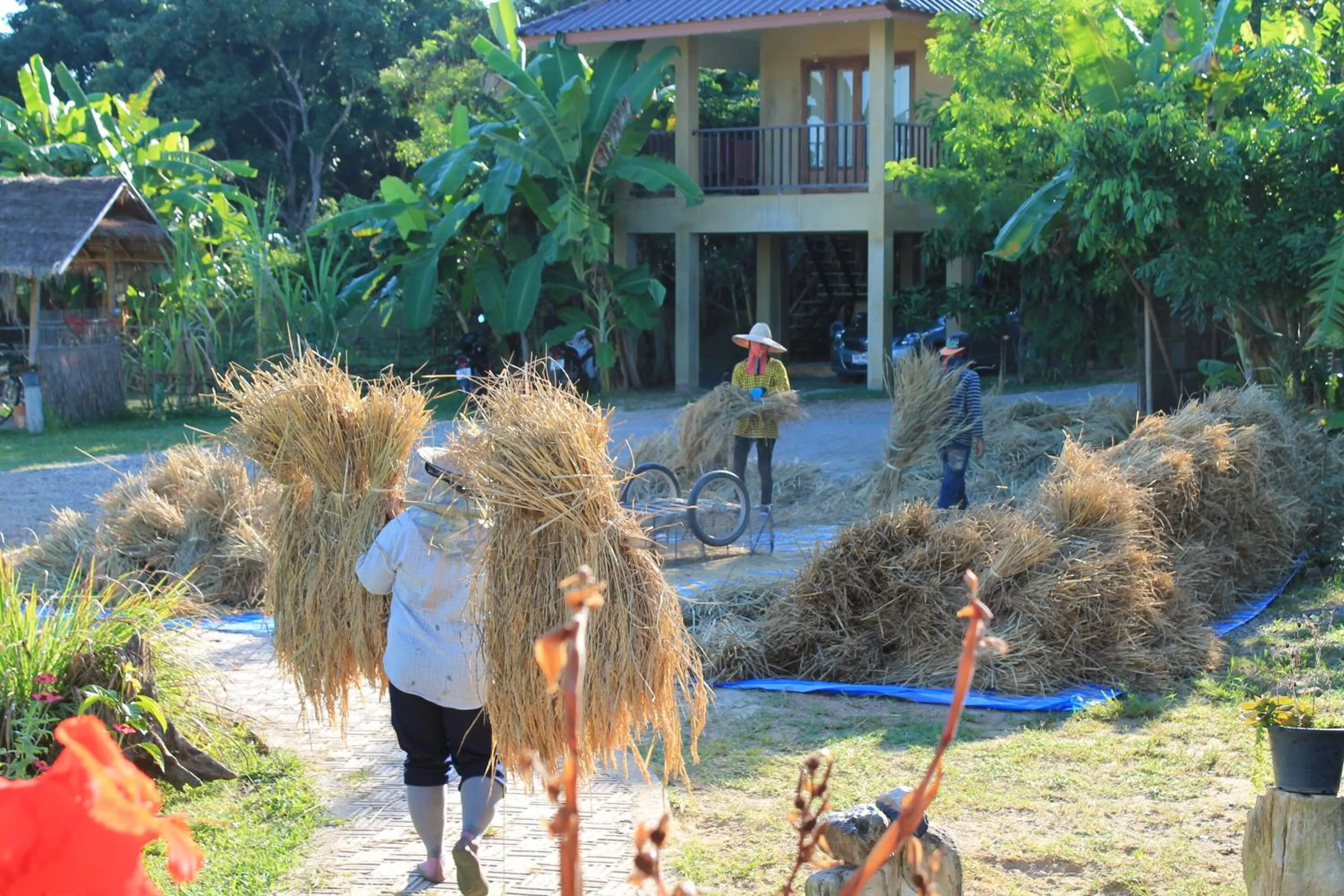People in Country Retreat