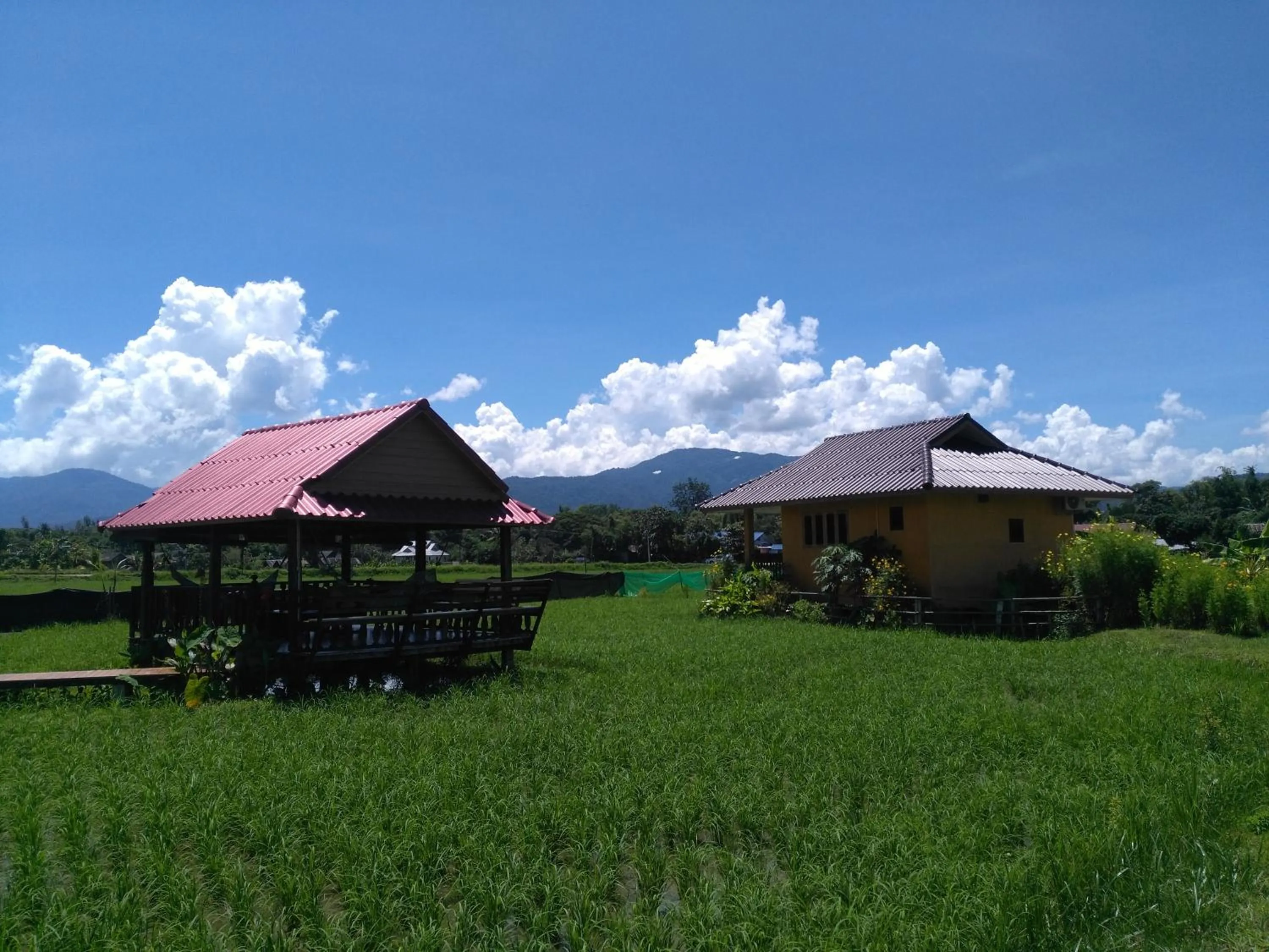 Mountain view in Country Retreat