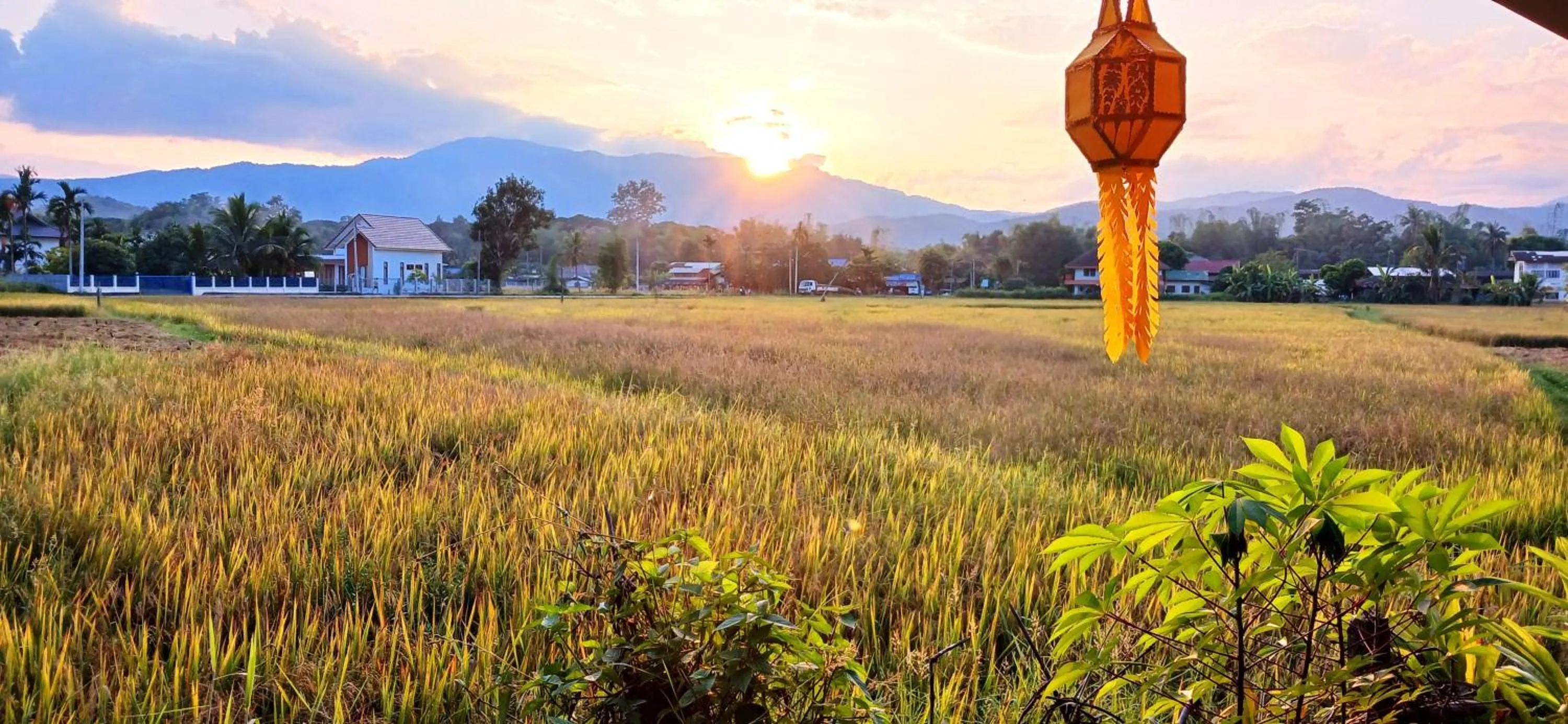 Natural landscape in Country Retreat