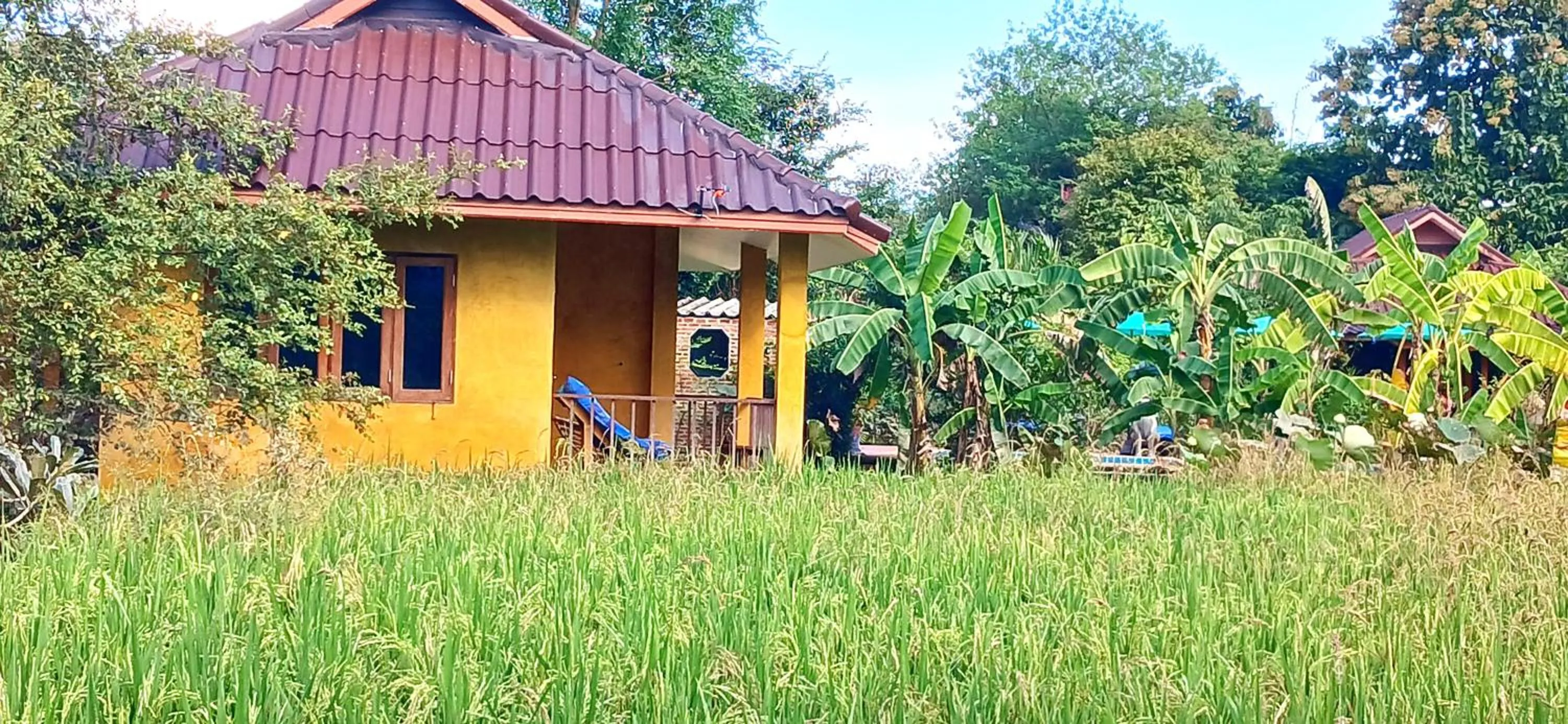 Property building in Country Retreat