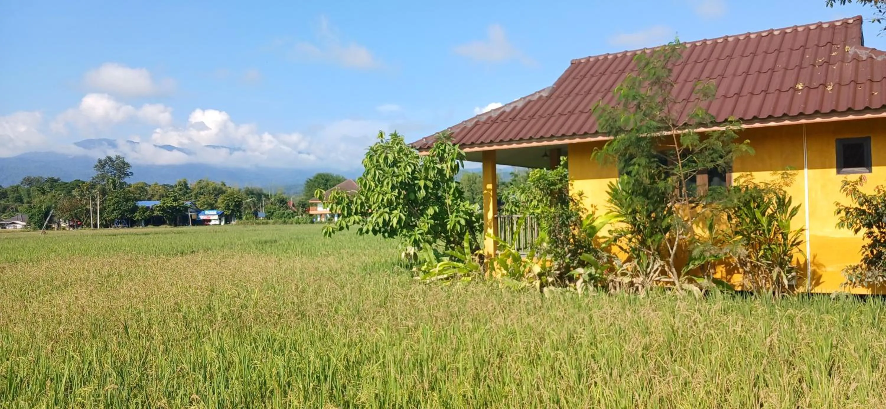 Property building in Country Retreat