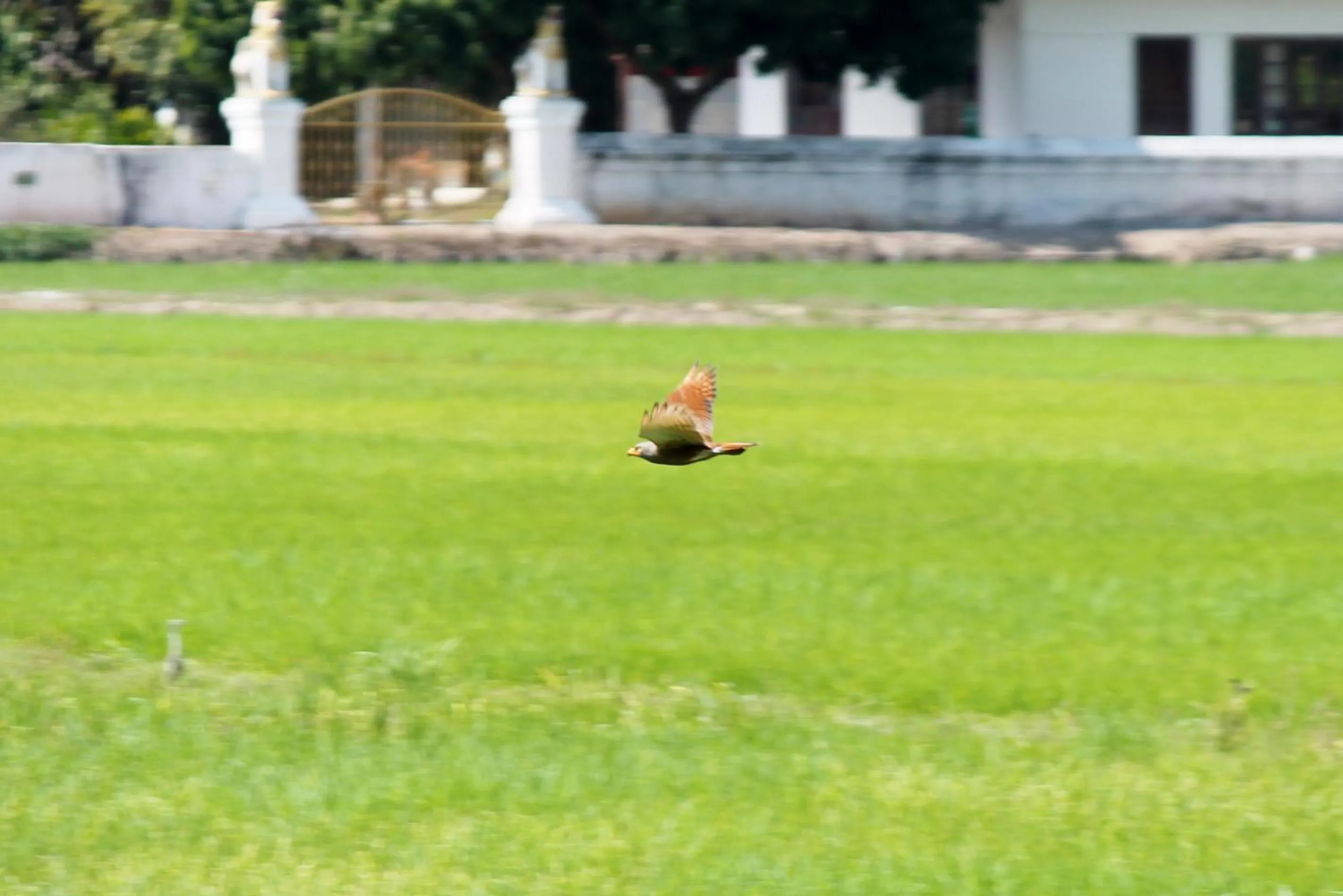 Garden view in Country Retreat