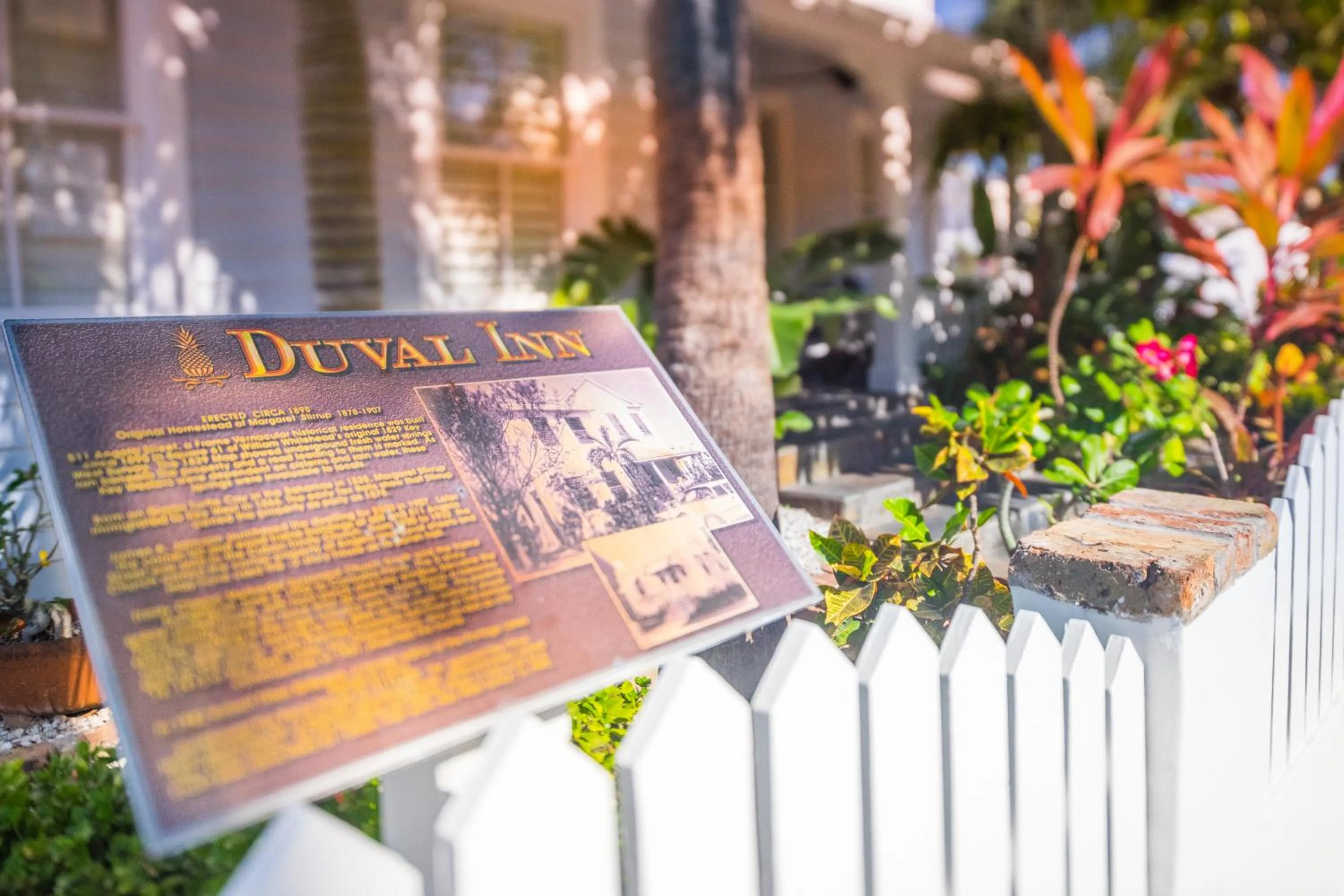 Logo/Certificate/Sign in Duval Inn - Key West