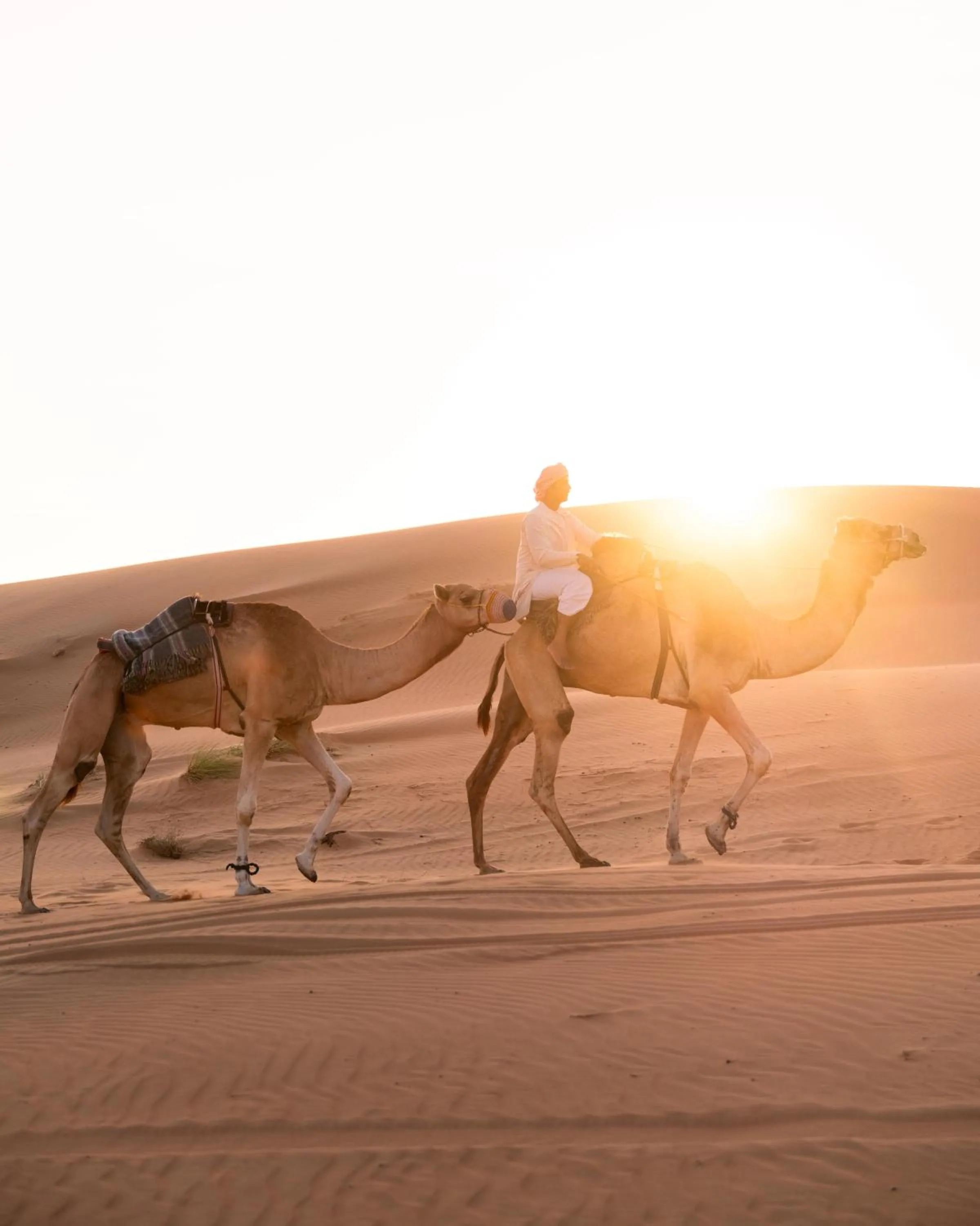 Activities in Thousand Nights Camp