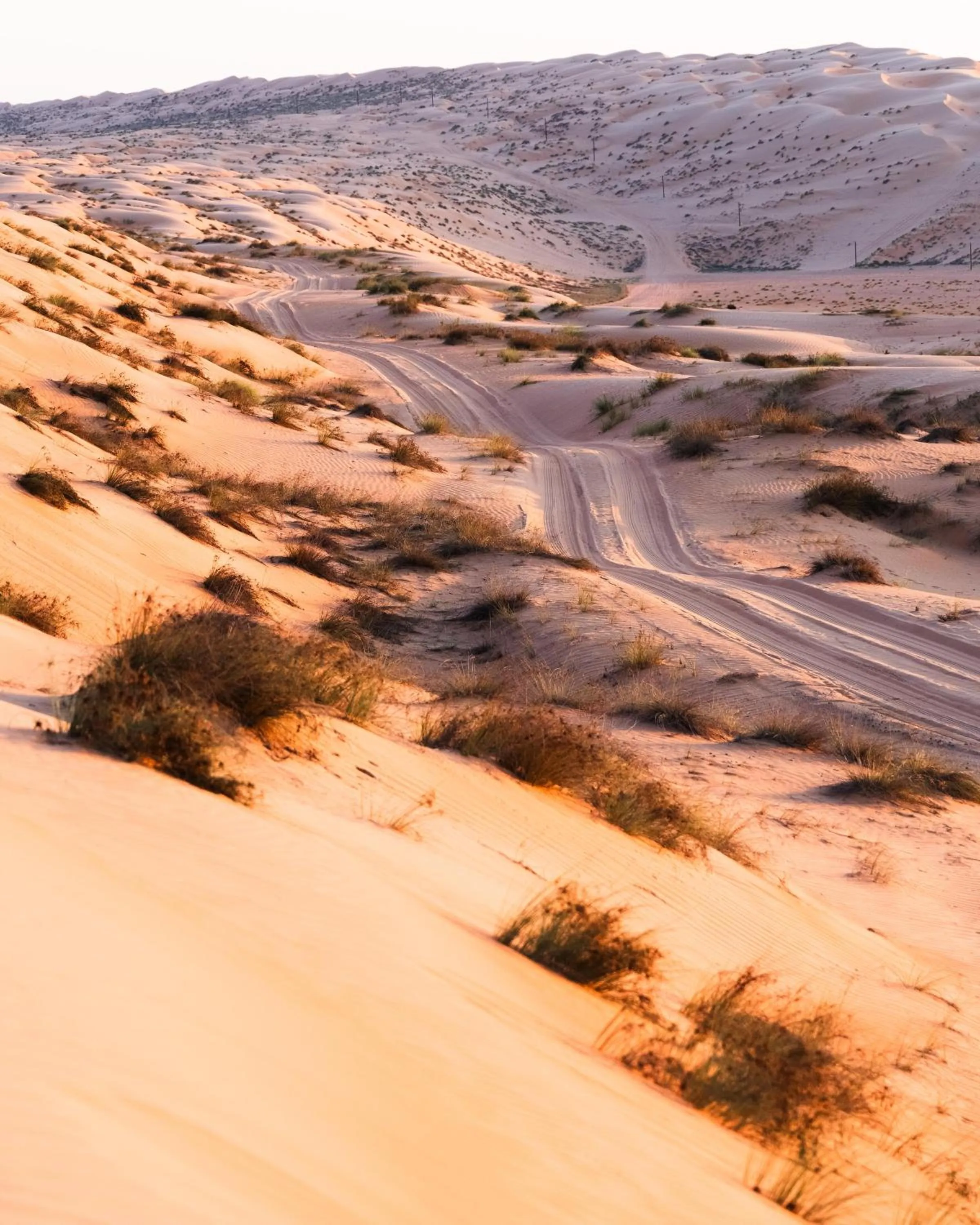 Natural landscape in Thousand Nights Camp