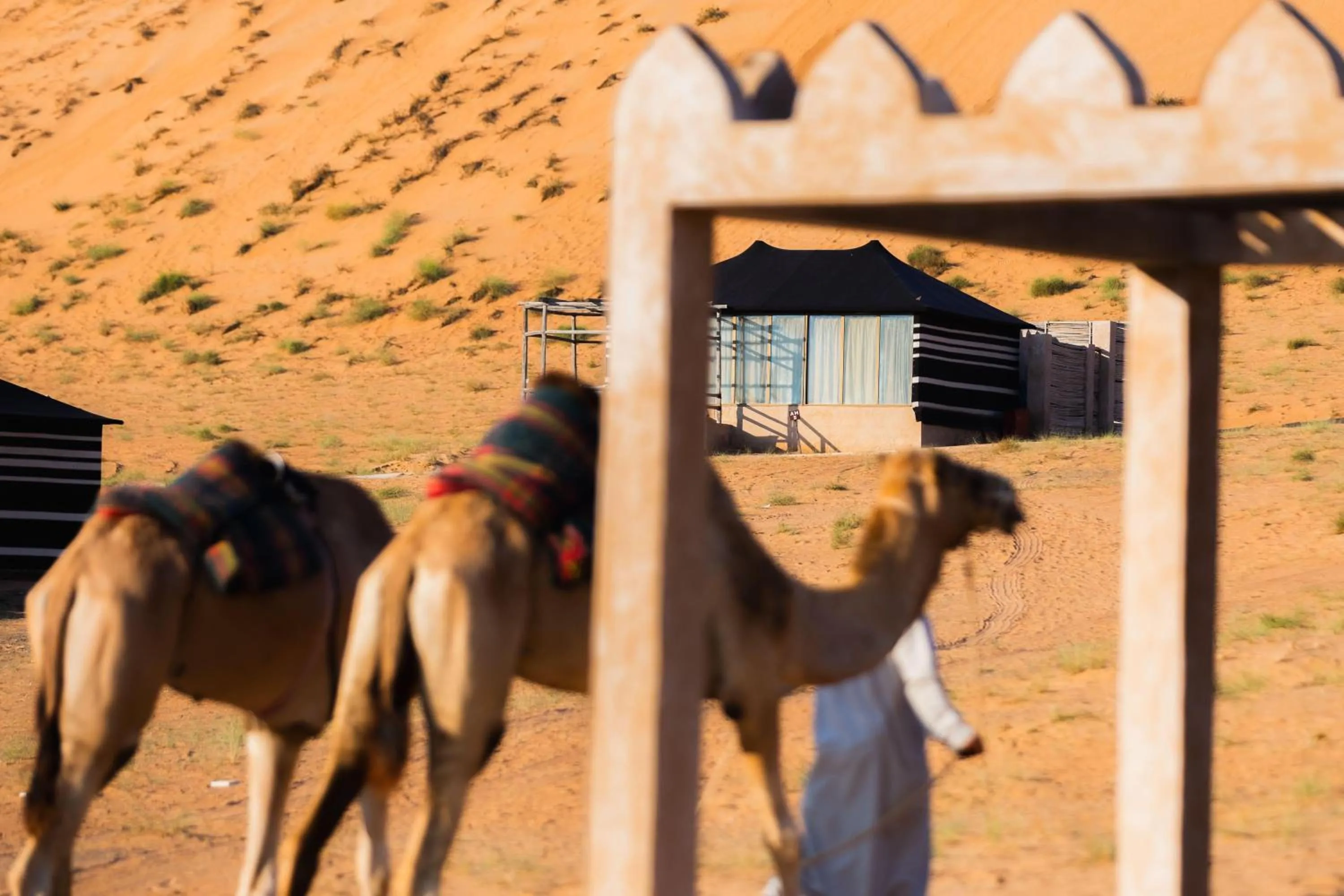 Photo of the whole room in Thousand Nights Camp