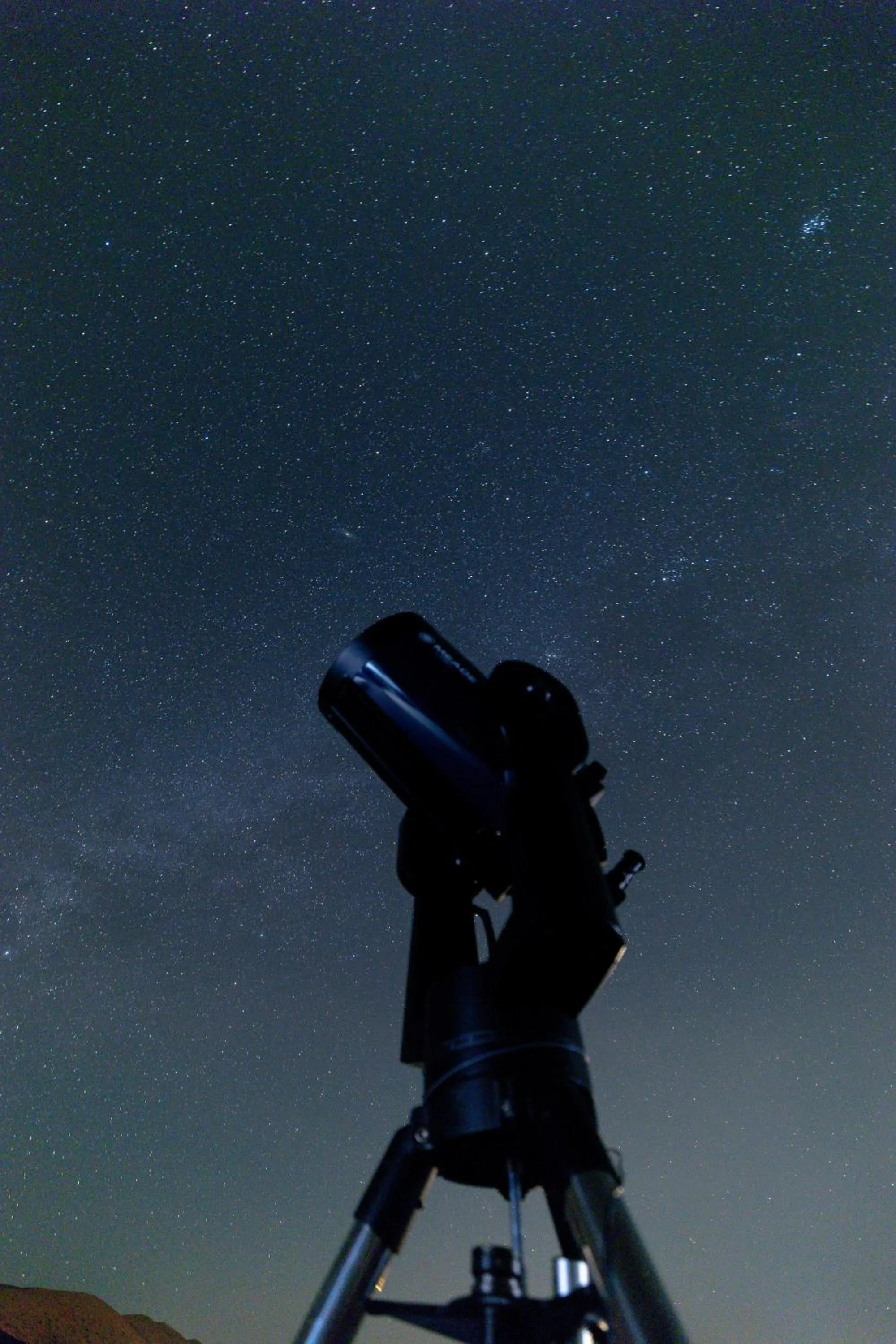 Activities in Thousand Nights Camp