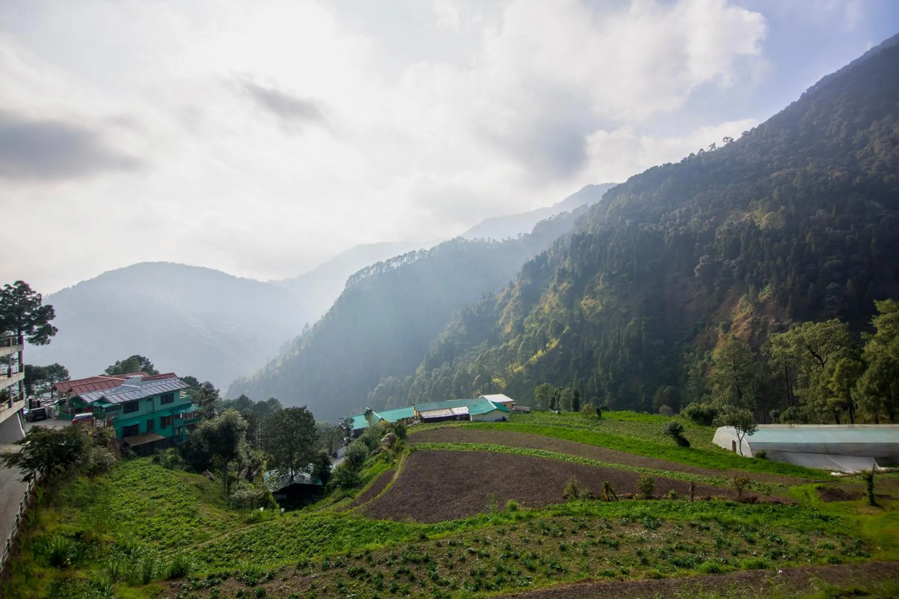Natural landscape in Sterling Nainital