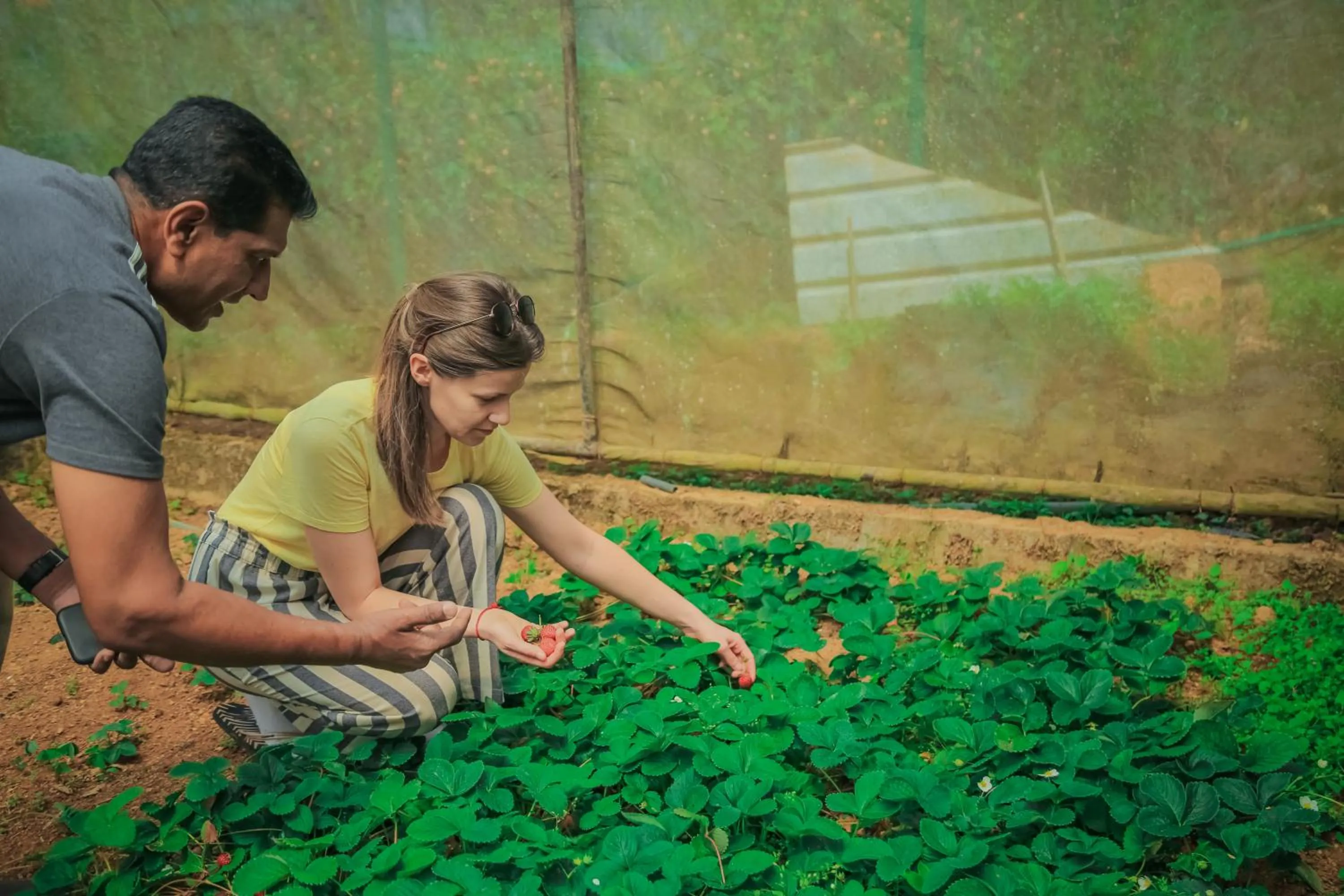 Garden in House of Leisure