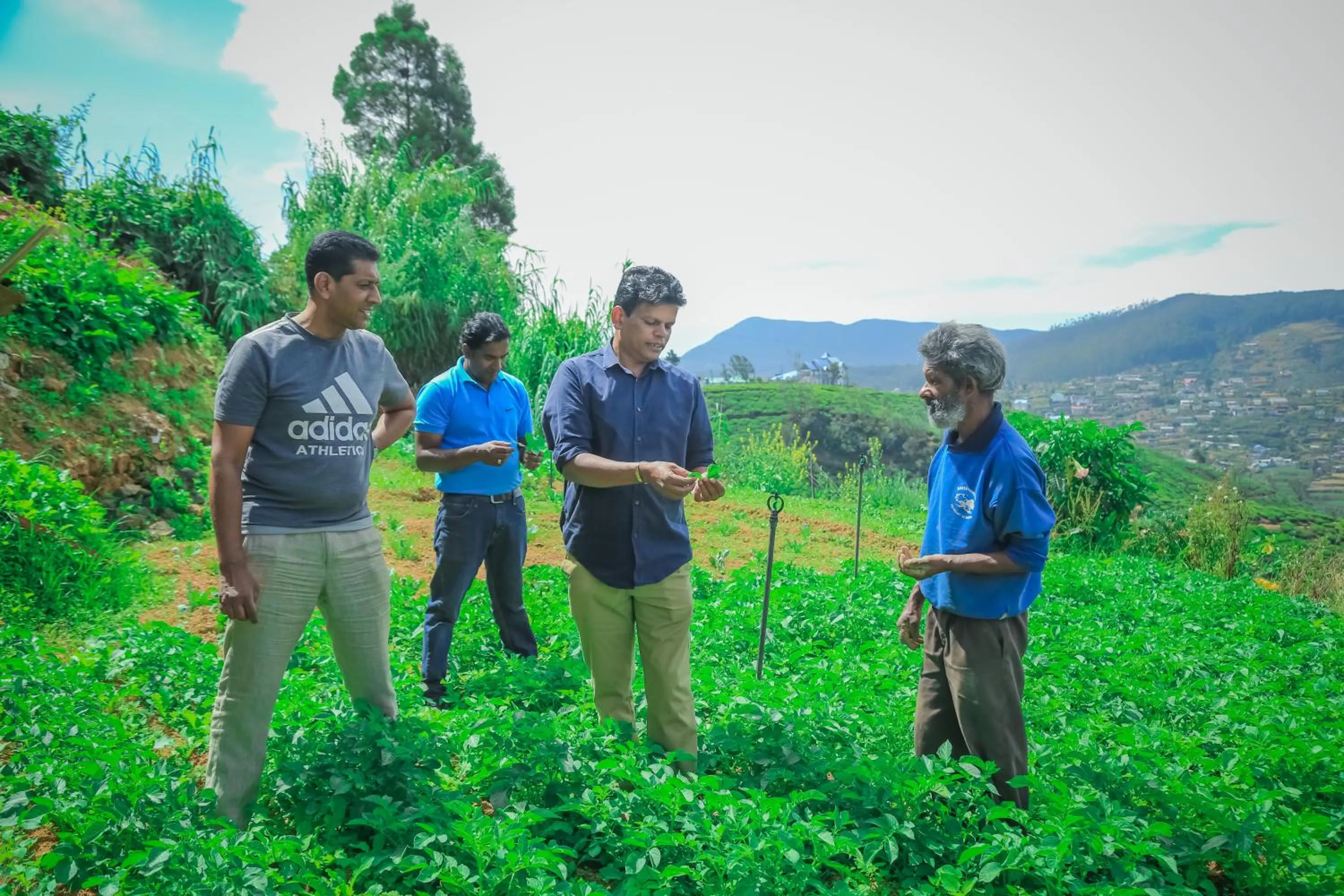 Garden in House of Leisure
