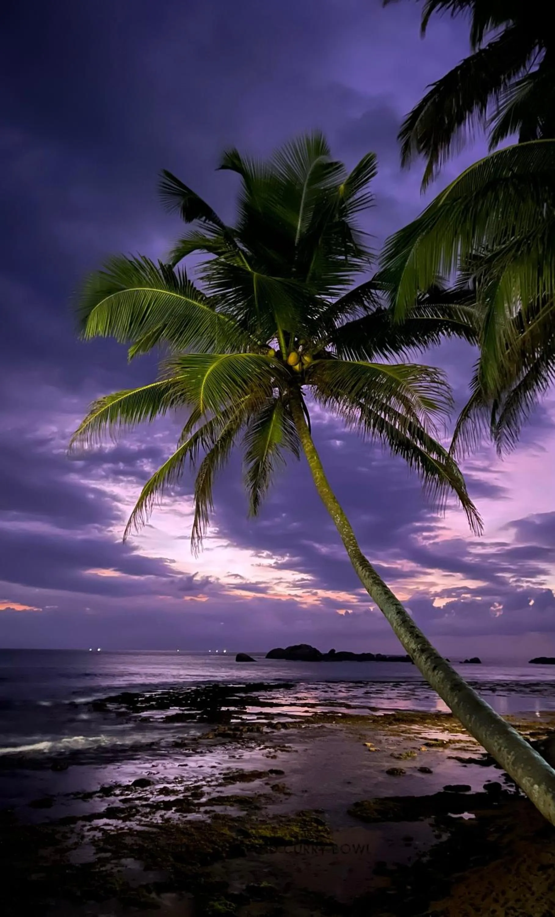 Sunset in Curry Bowl Restaurant & Turtles Rest