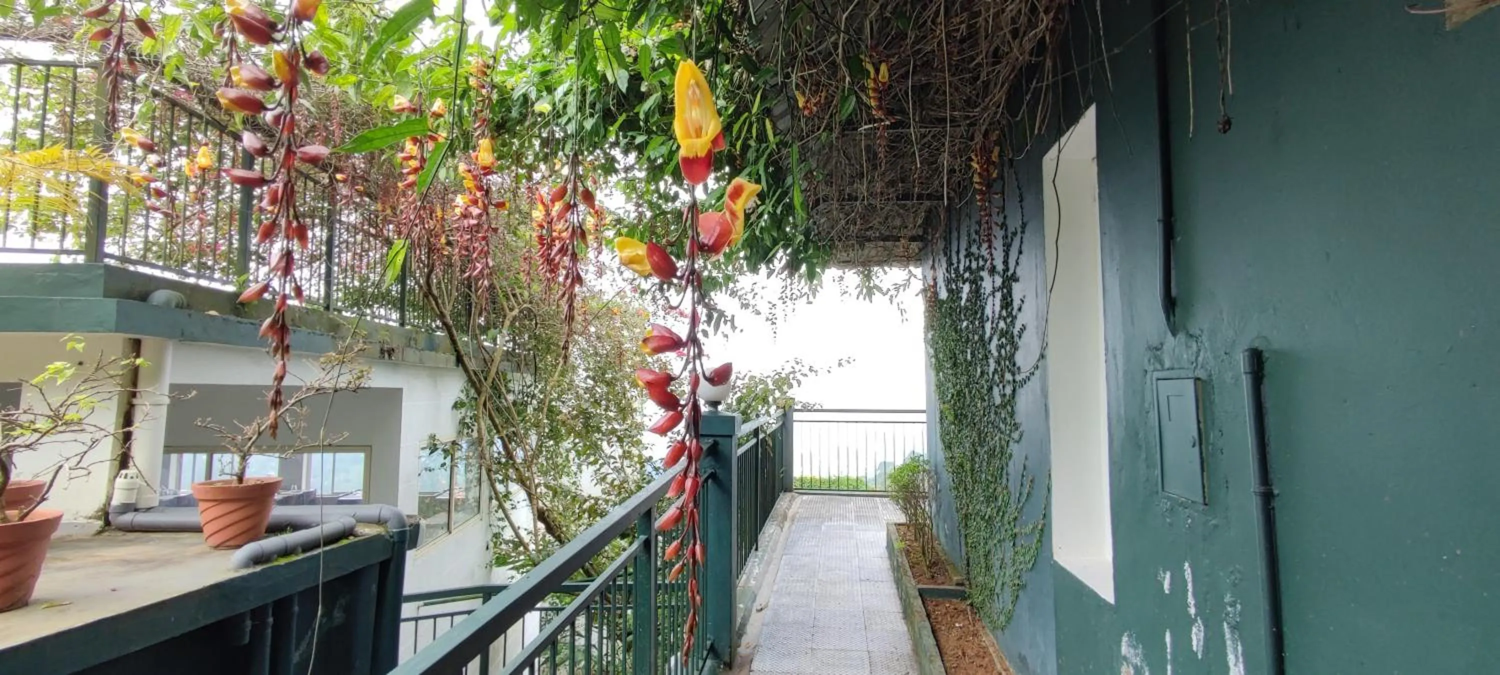 Day in Munnar Tea Hills Resort - MTHR