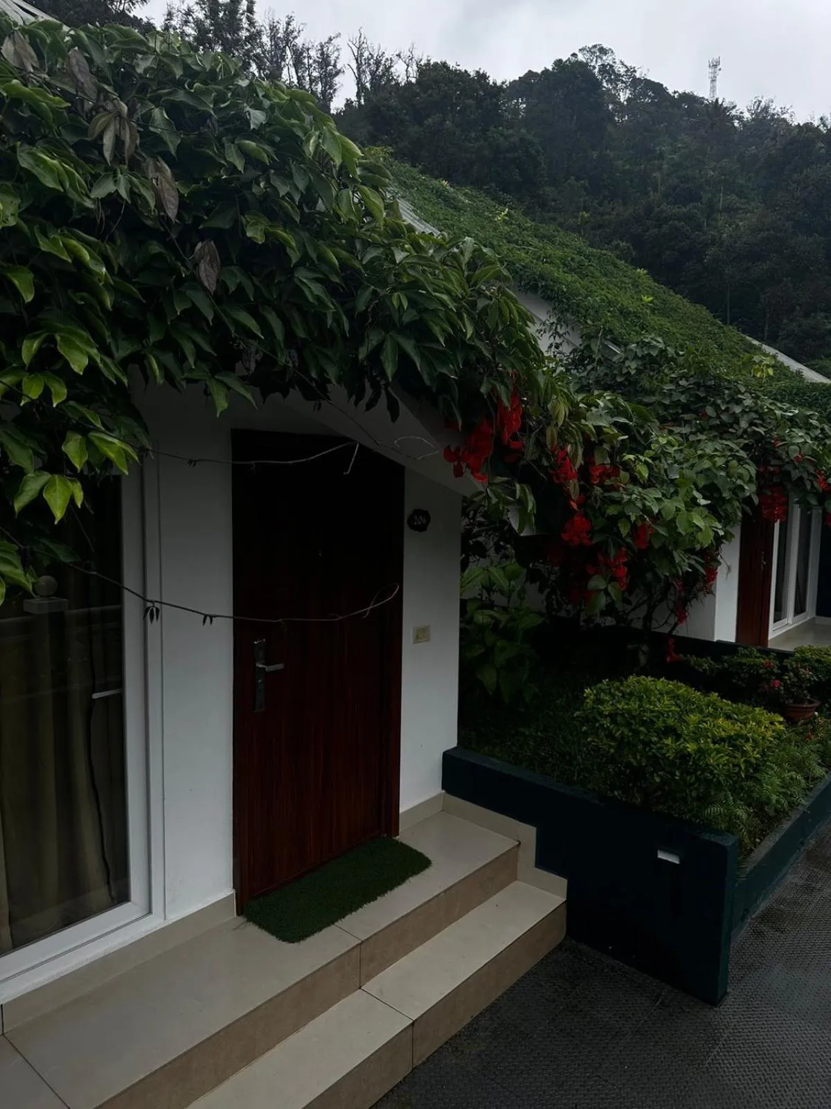 Garden in Munnar Tea Hills Resort - MTHR