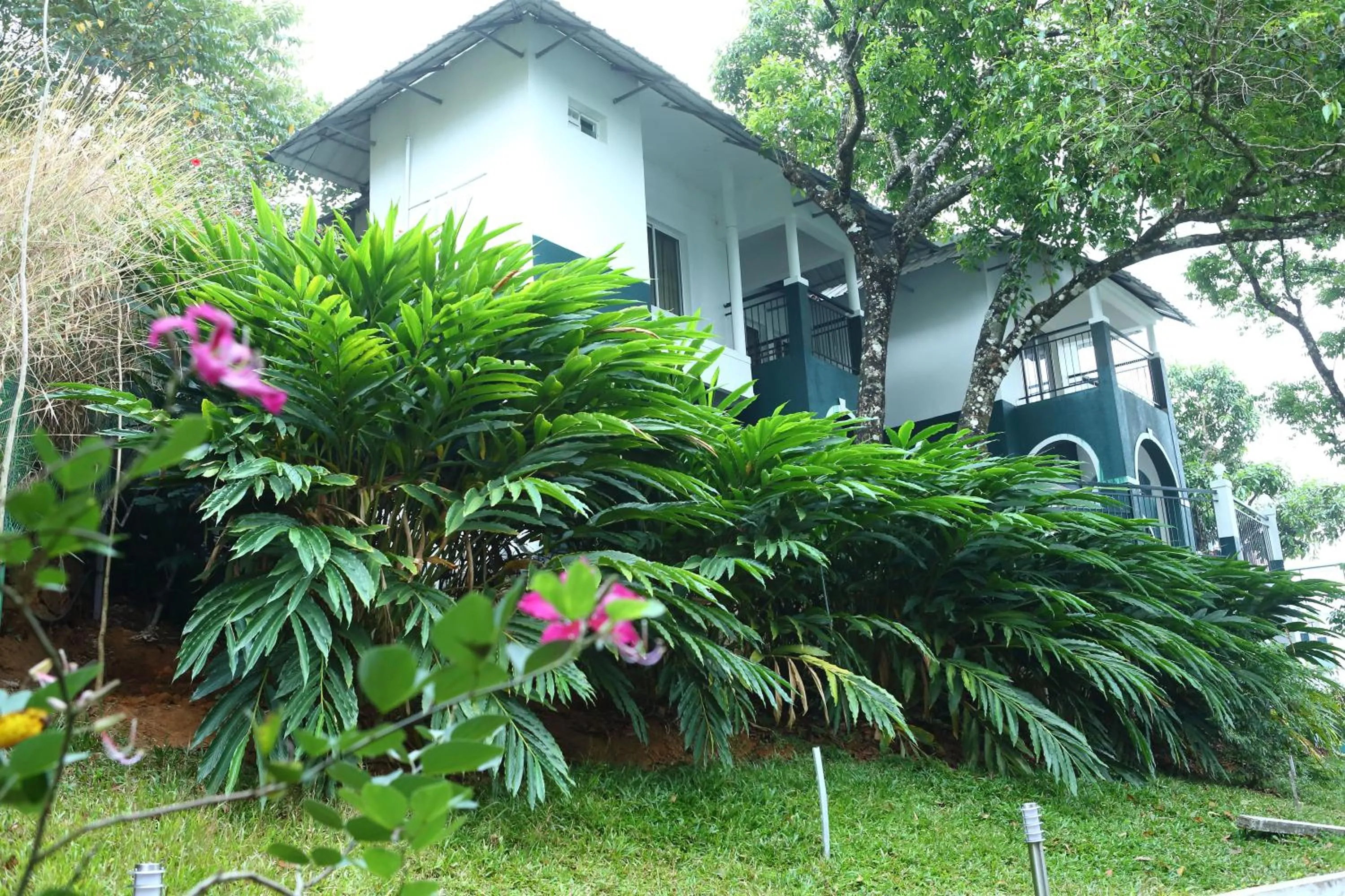 Property building in Munnar Tea Hills Resort - MTHR