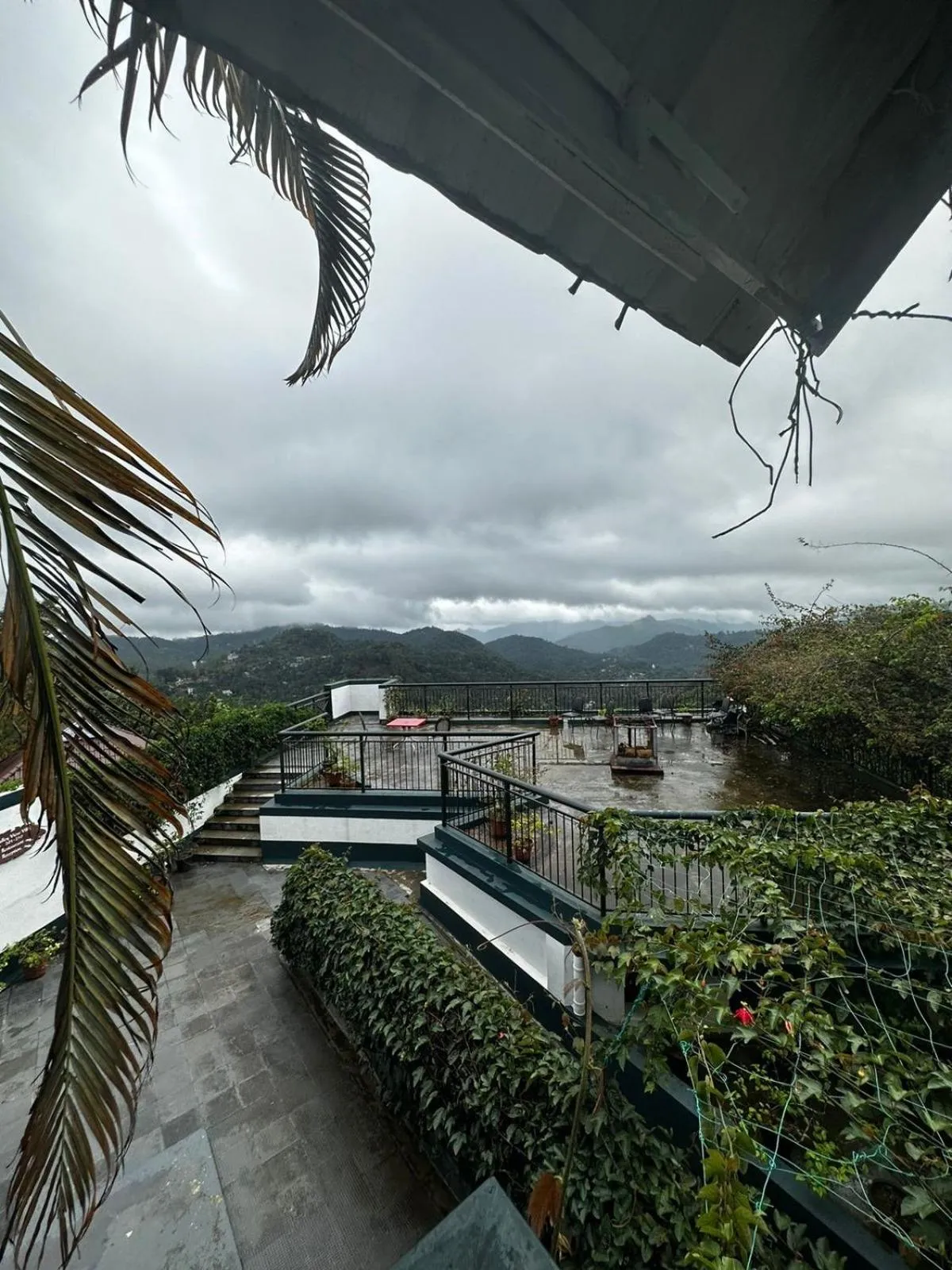 Natural landscape in Munnar Tea Hills Resort - MTHR