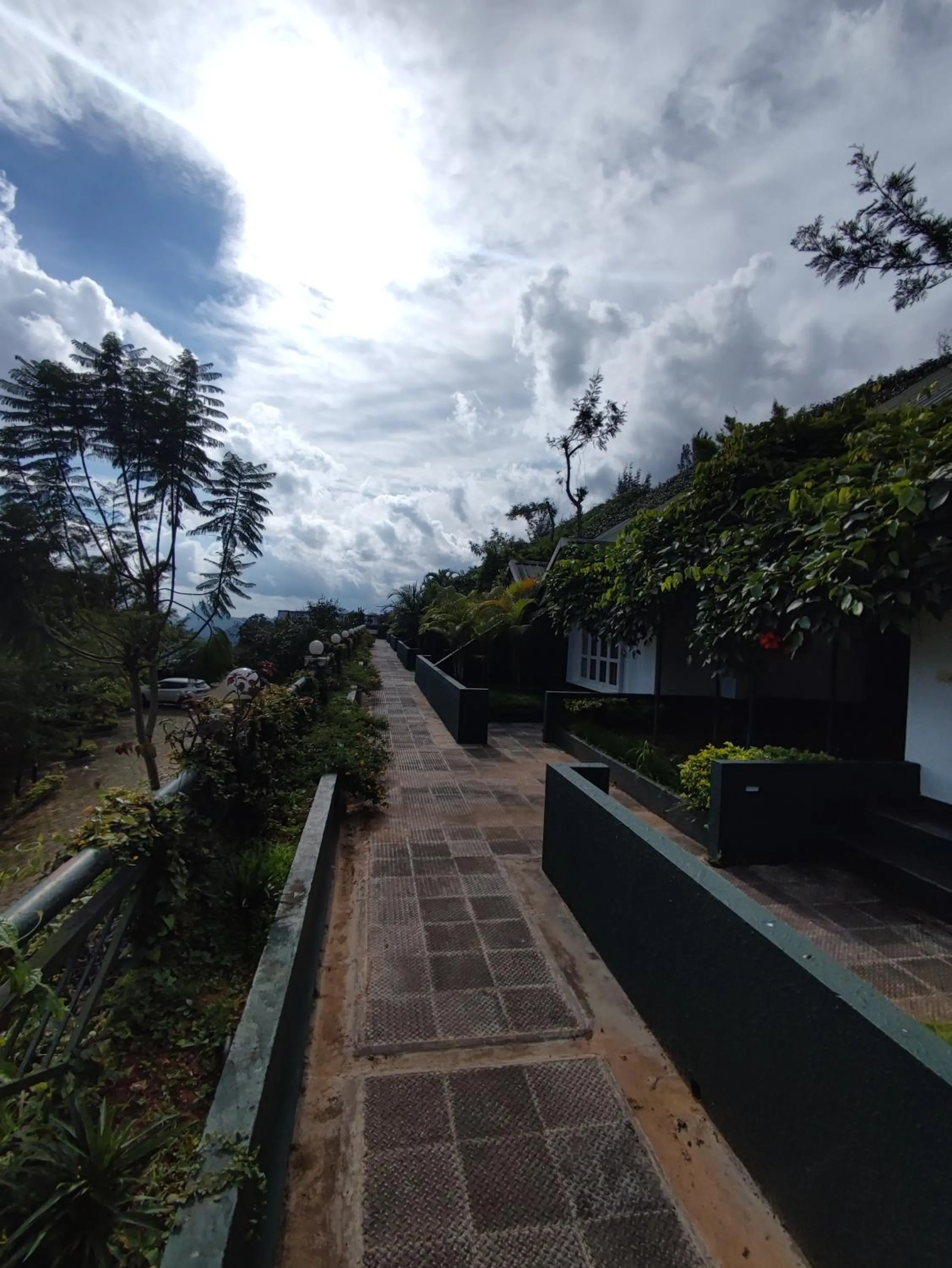 Natural landscape in Munnar Tea Hills Resort - MTHR