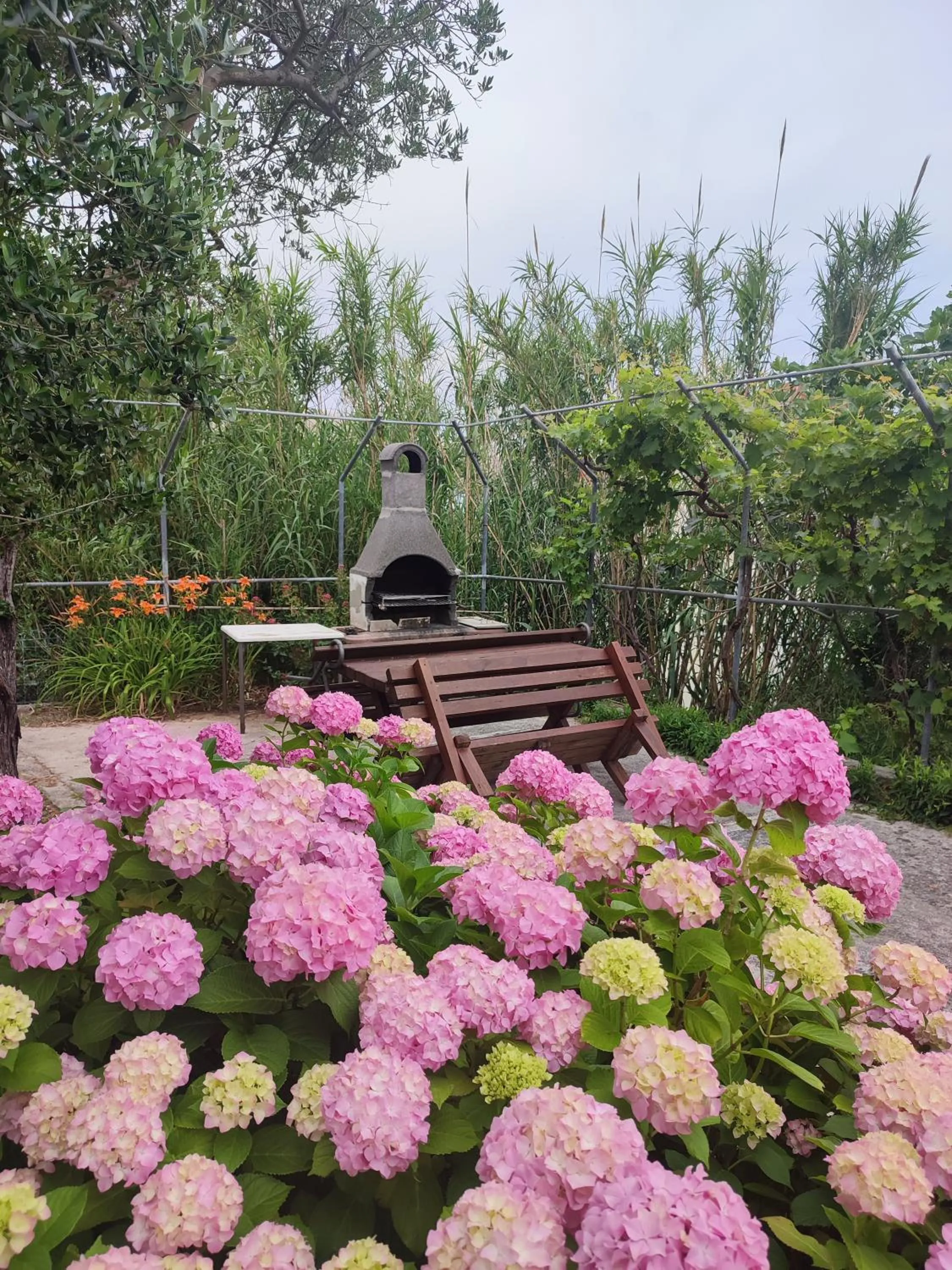 Garden in Apartment Valeria