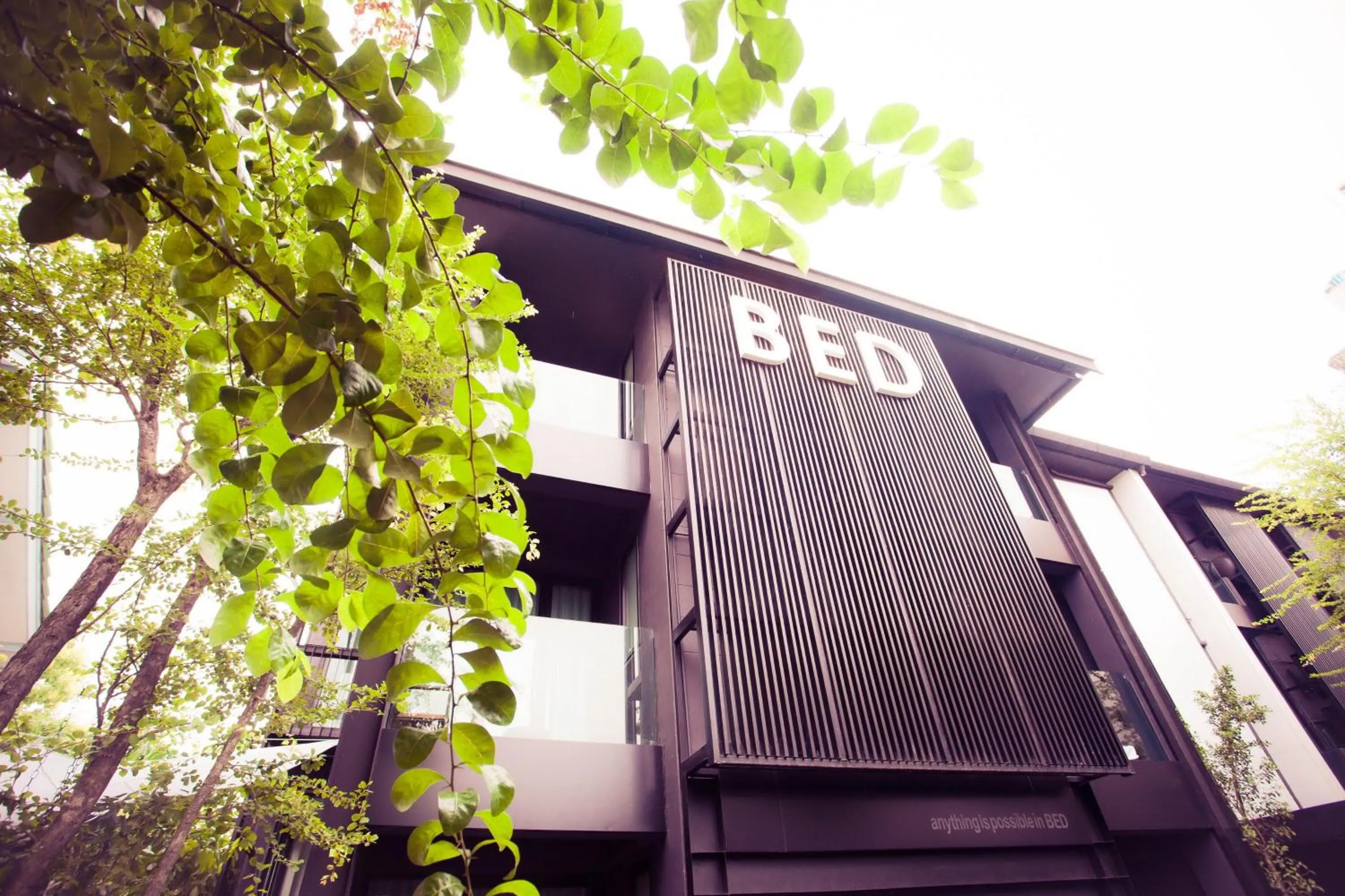 Facade/entrance in BED Phrasingh-Adults Only