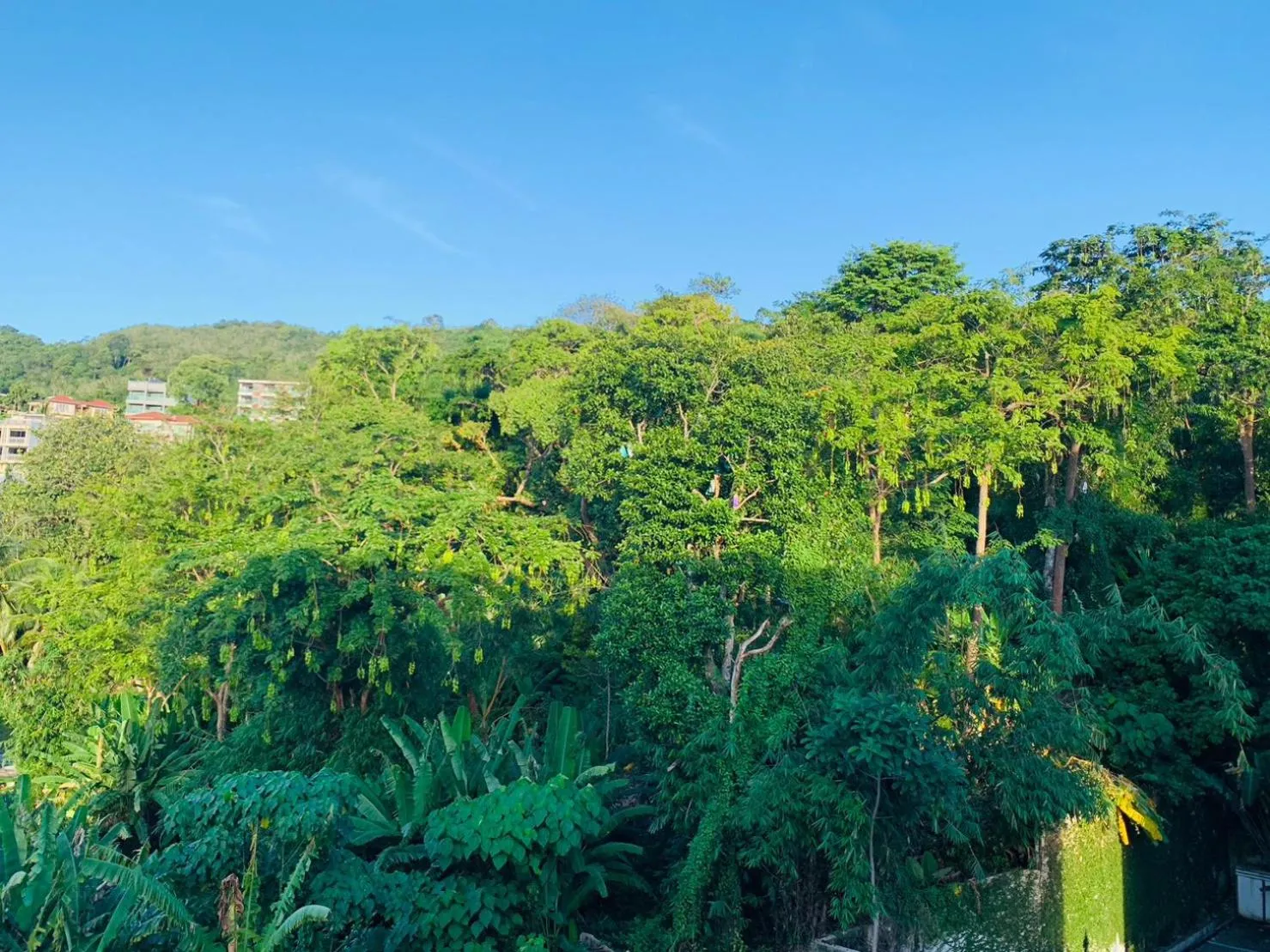 View (from property/room) in Ocean View Treasure Residence