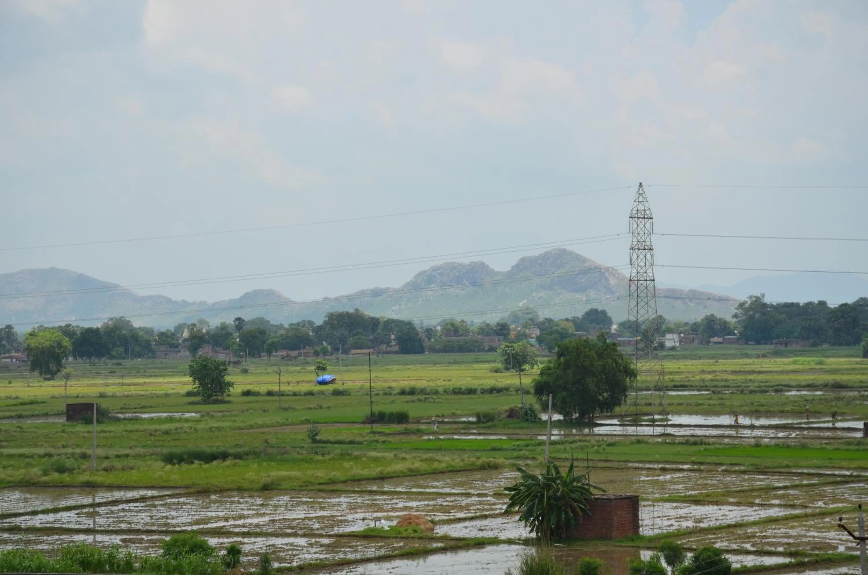 Natural landscape in Hotel Bodh Vilas