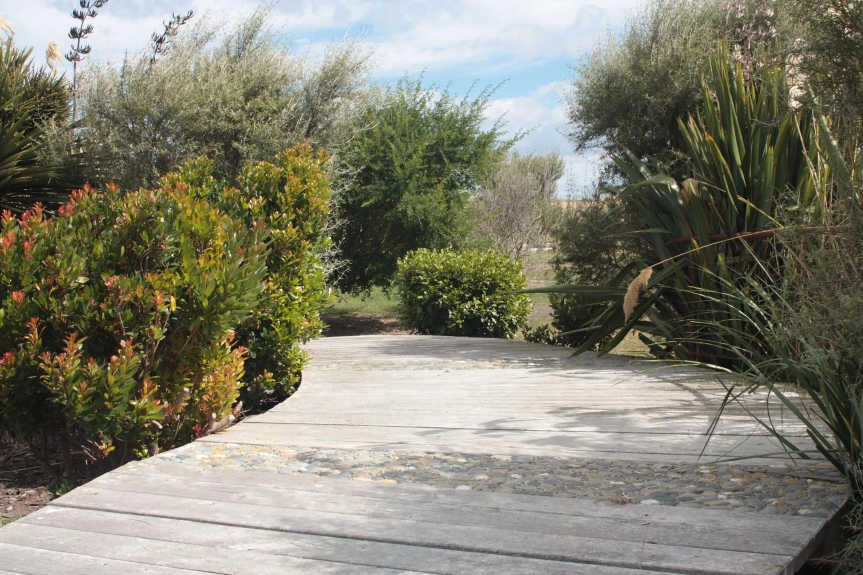 Other in Old Bones Lodge