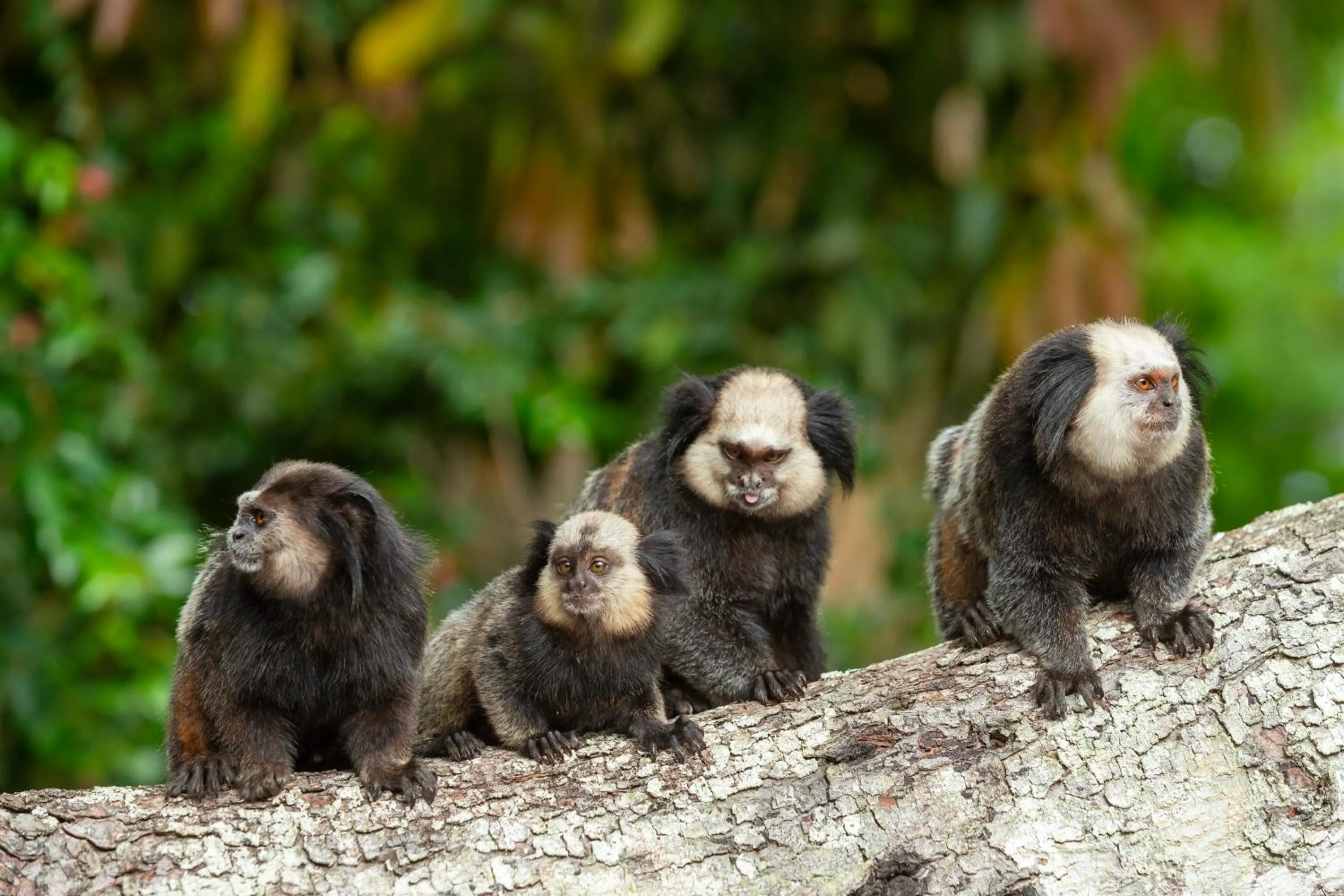 Day in Pousada Arraial dos Sonhos