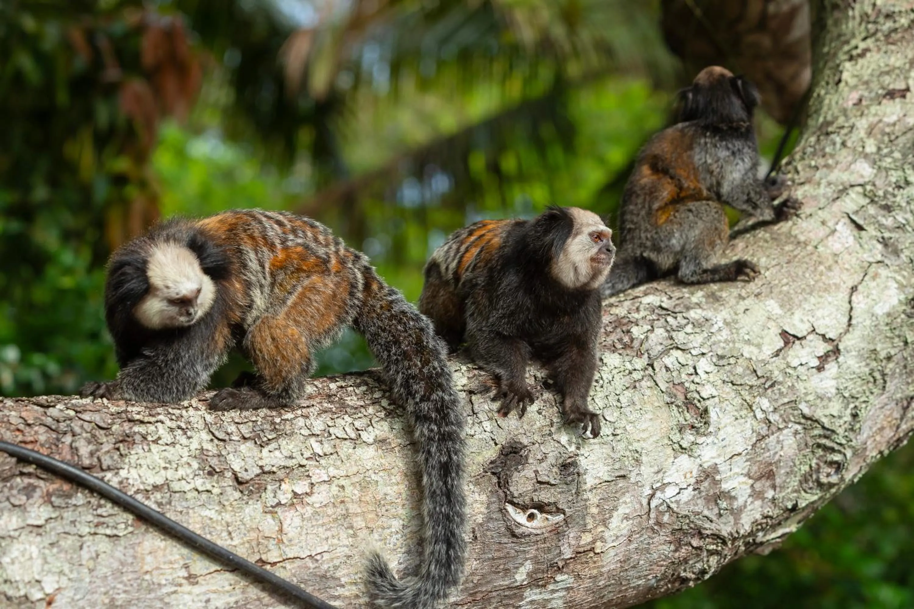 Day in Pousada Arraial dos Sonhos
