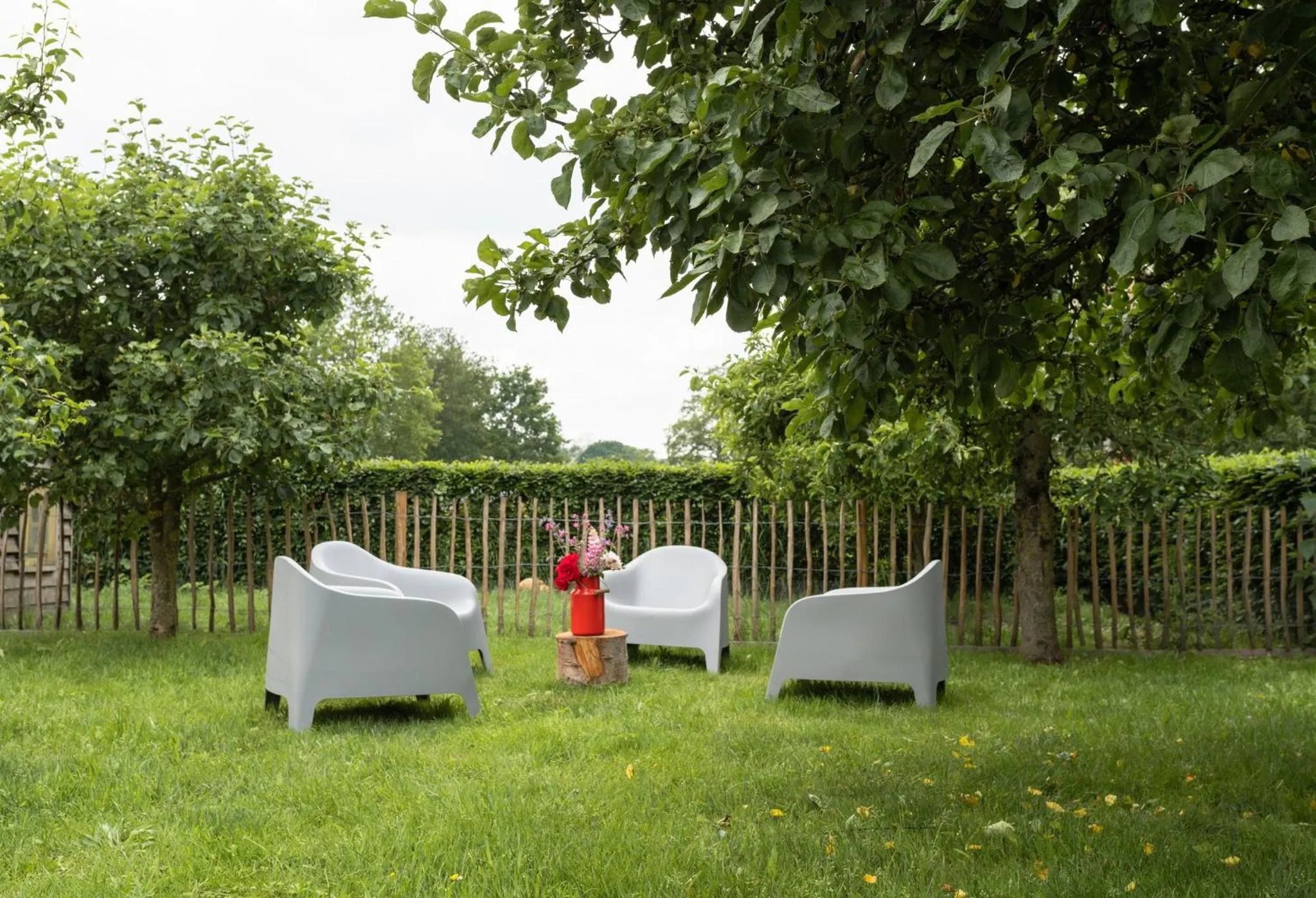 Balcony/Terrace in B&B De Ouw Skuur