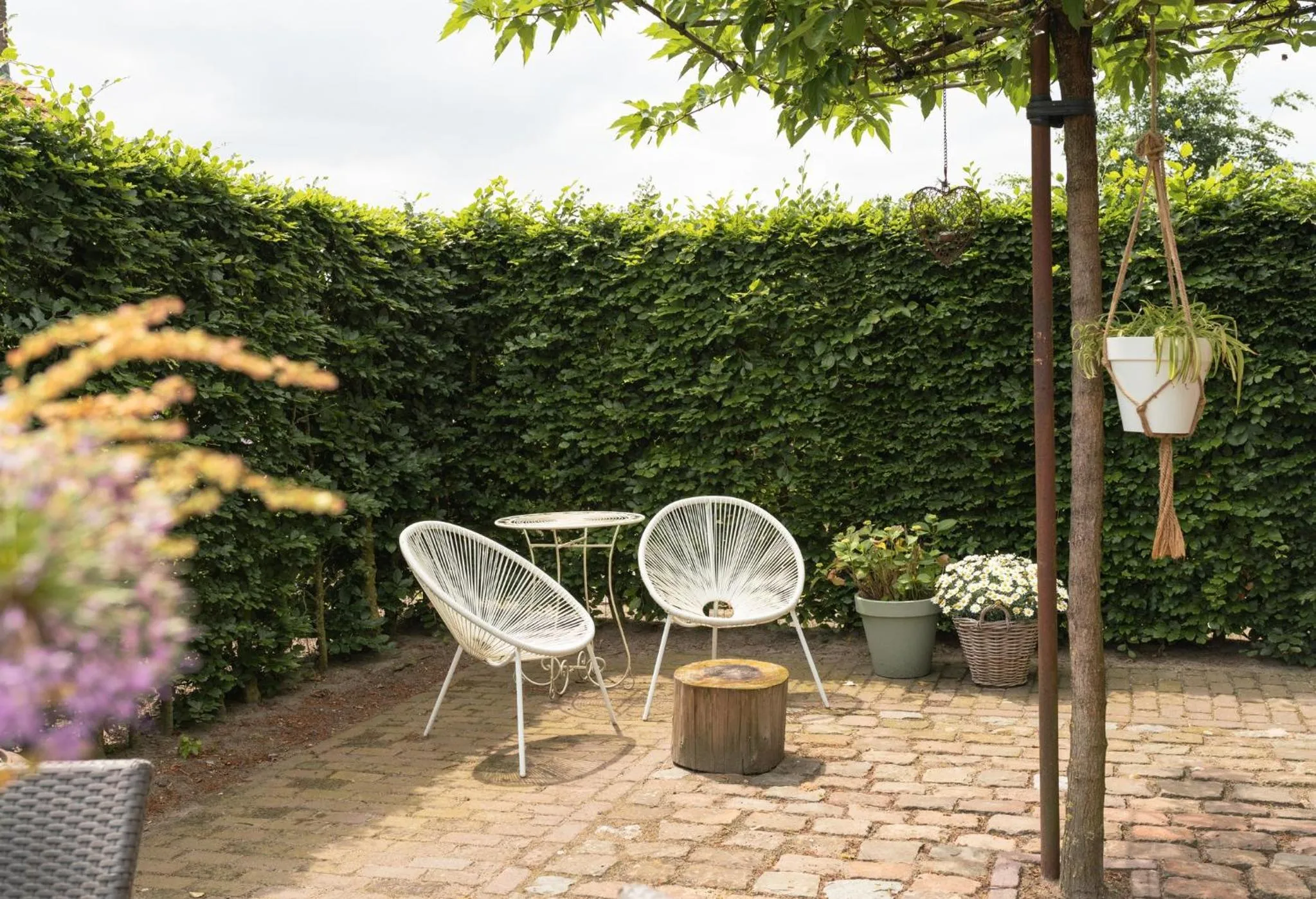 Garden in B&B De Ouw Skuur