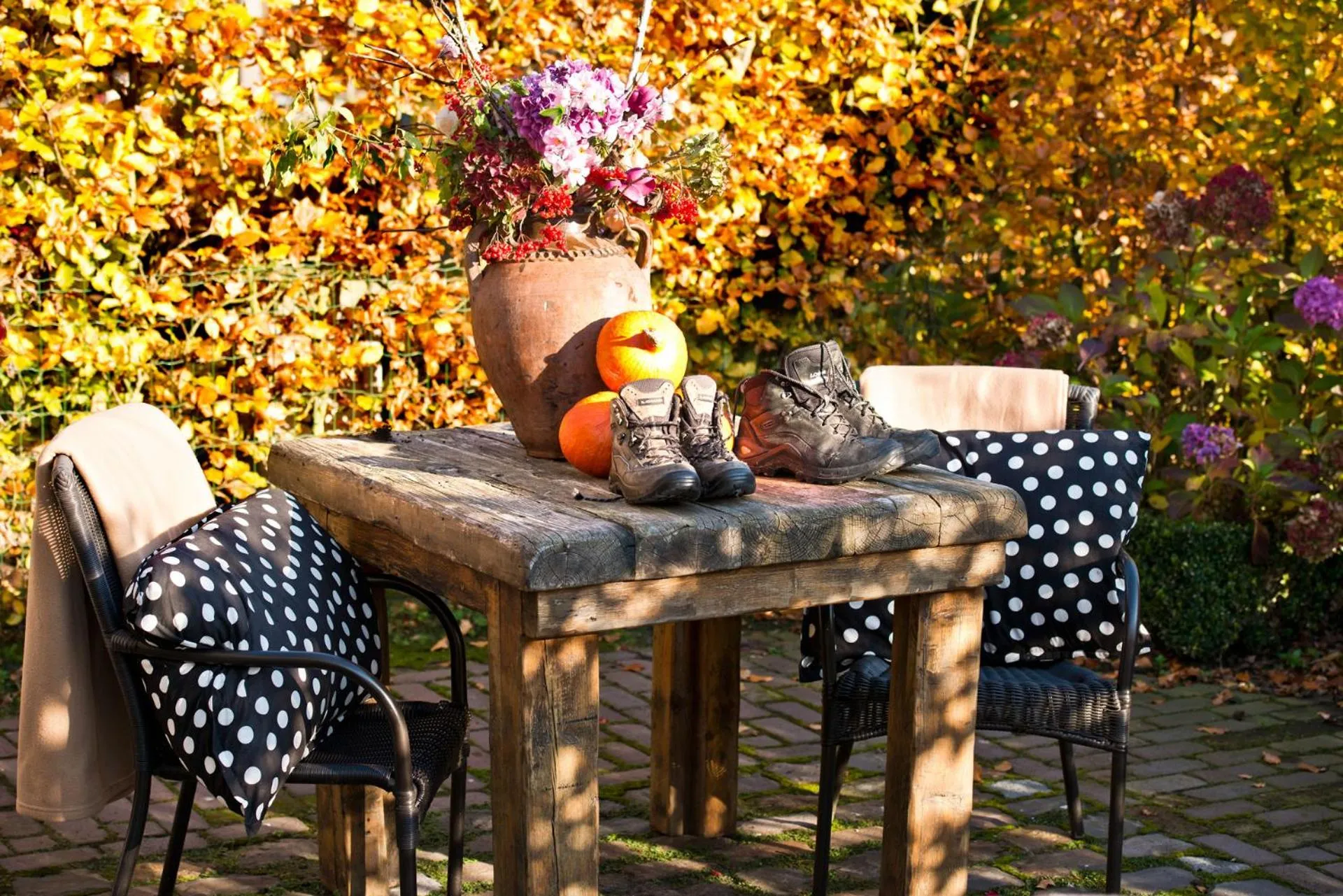 Garden in B&B De Ouw Skuur