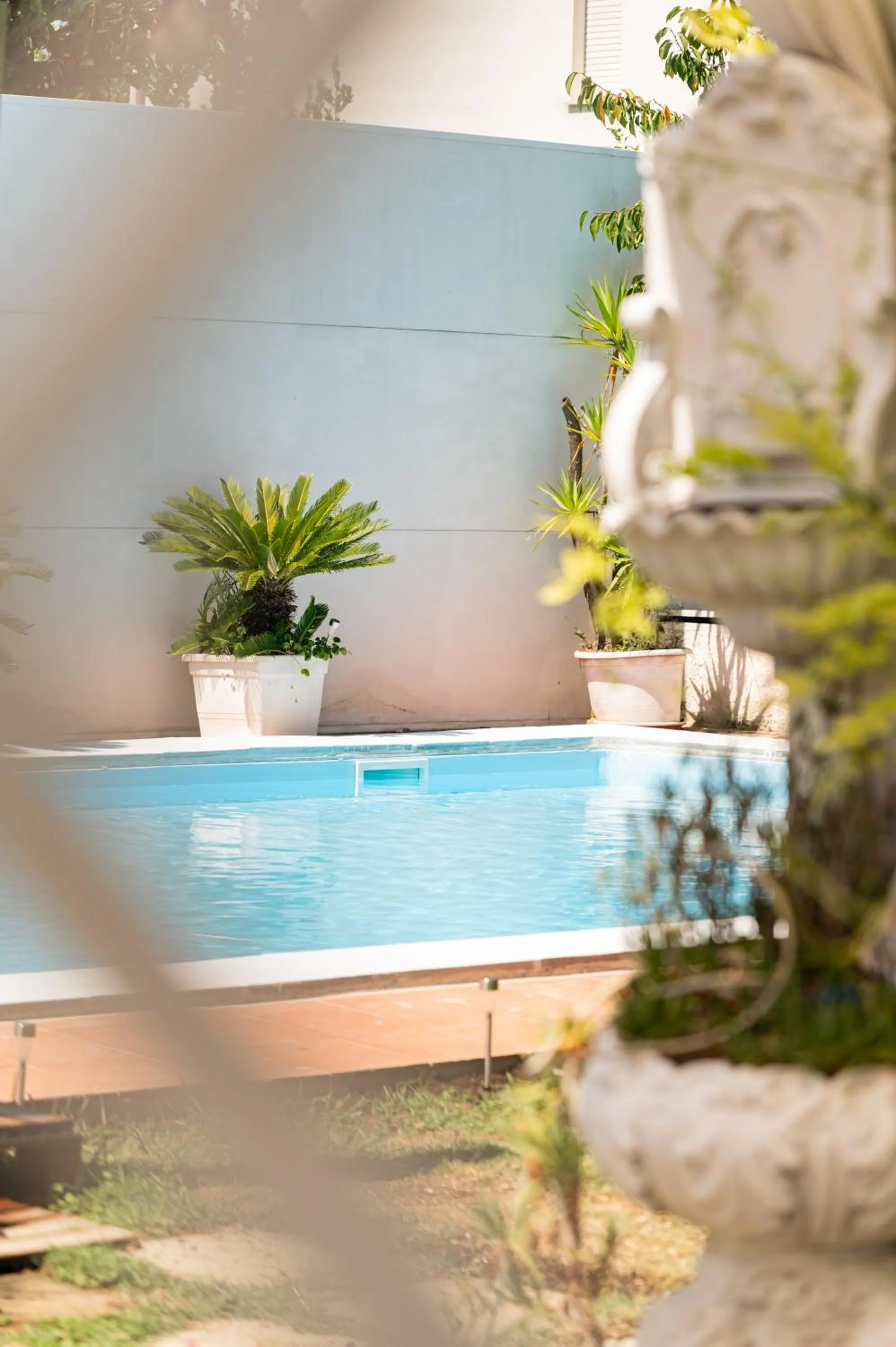 Swimming pool in Villa Tropical