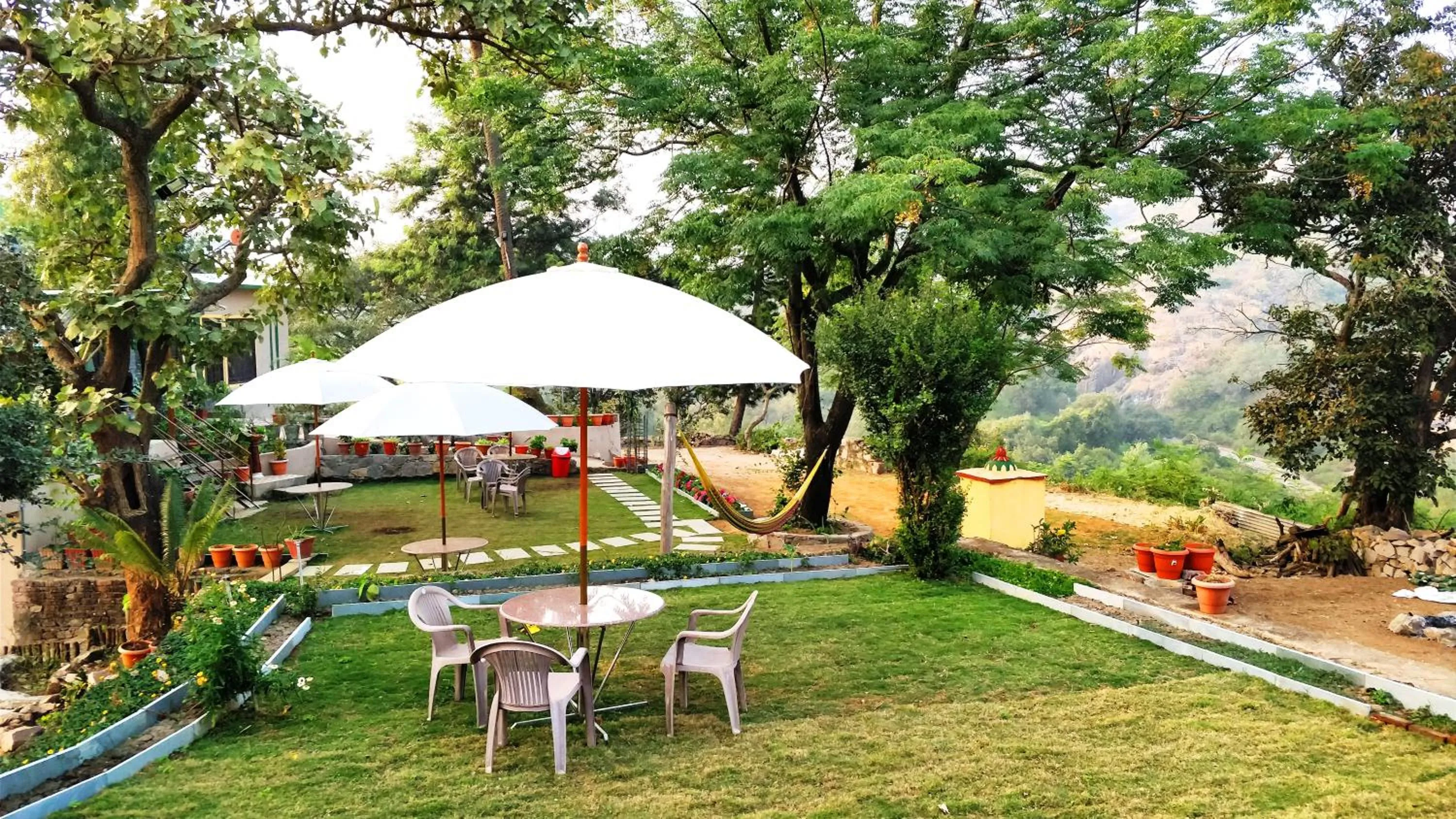 Restaurant/places to eat in Forest Eco Lodge