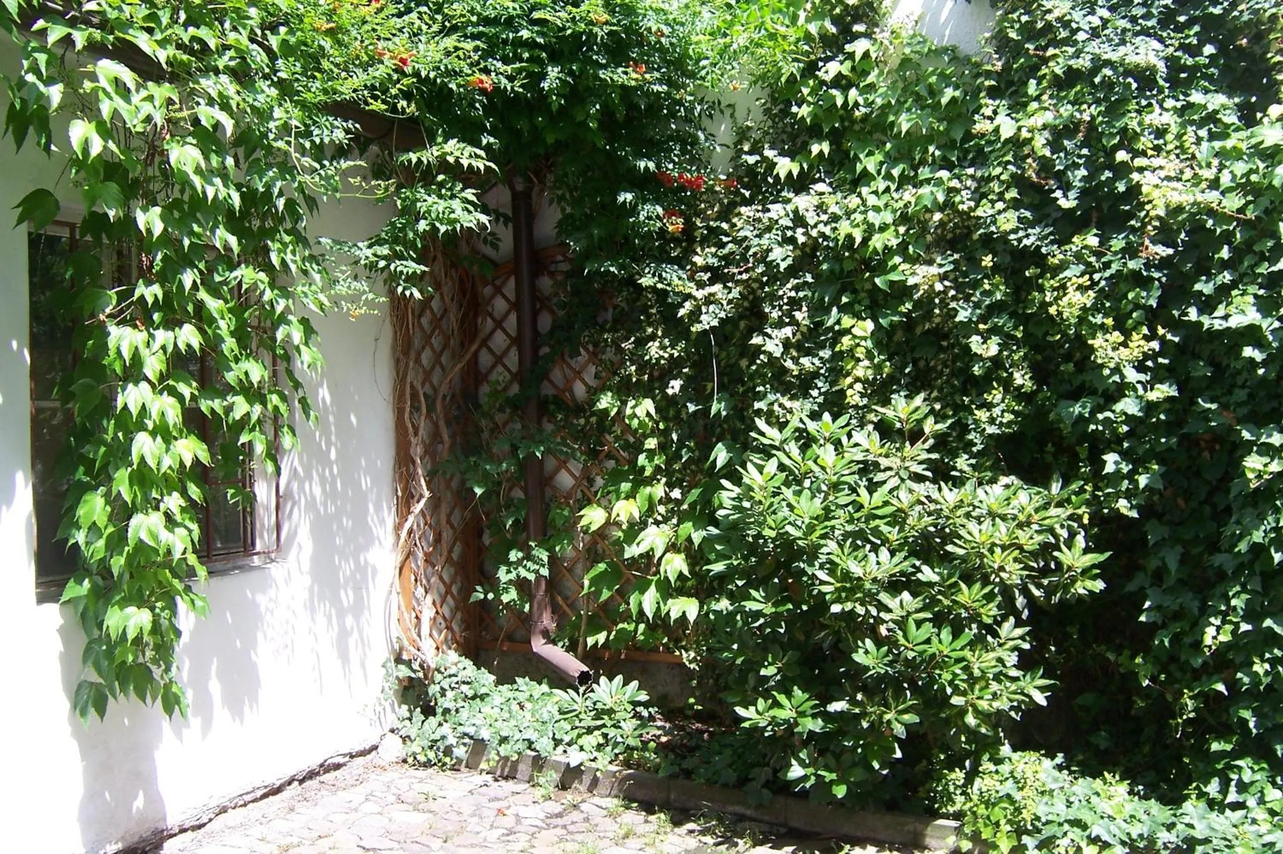 Garden in Apartments near Lesser Town