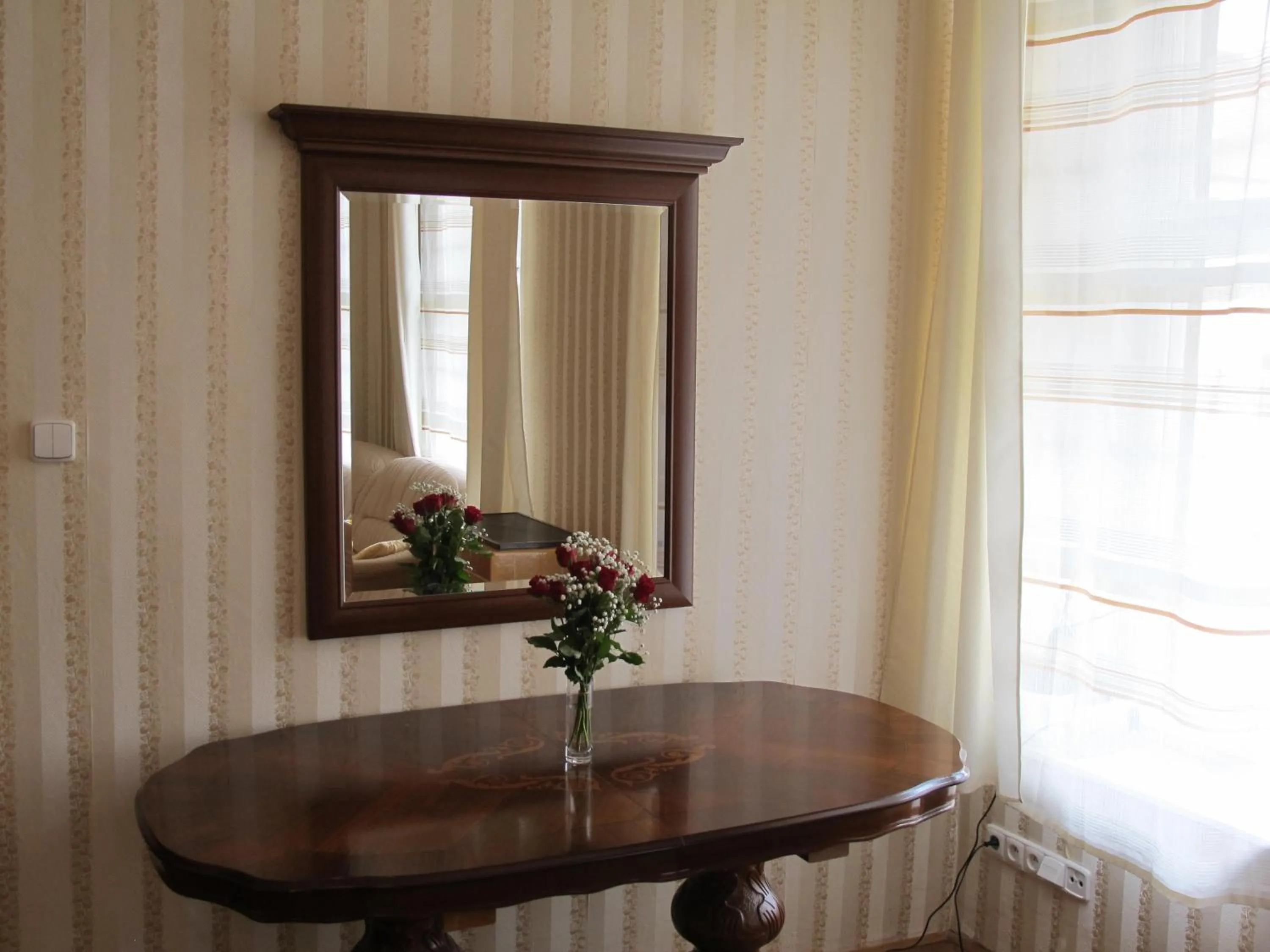 Living room in Apartments near Lesser Town