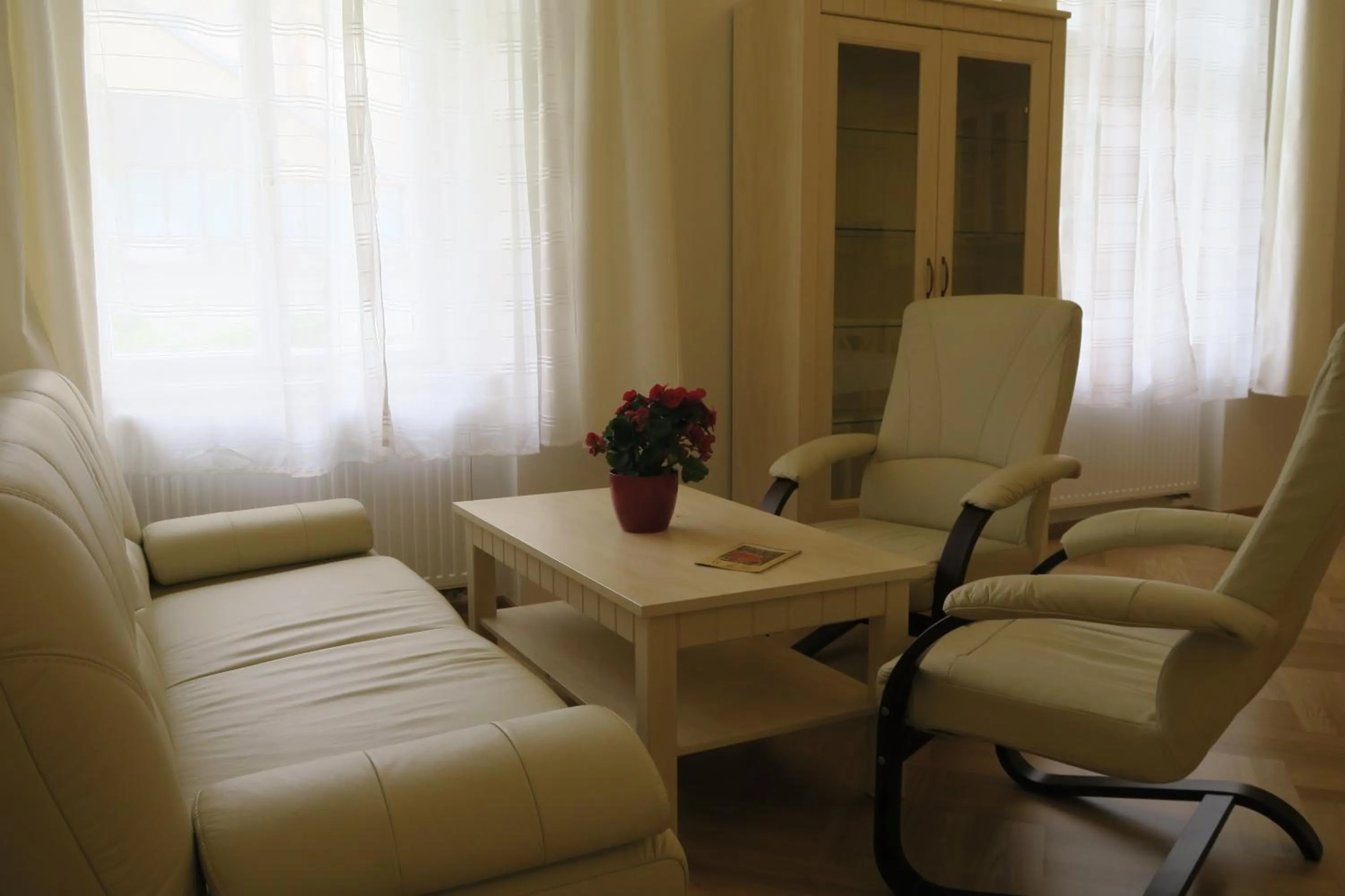 Living room in Apartments near Lesser Town