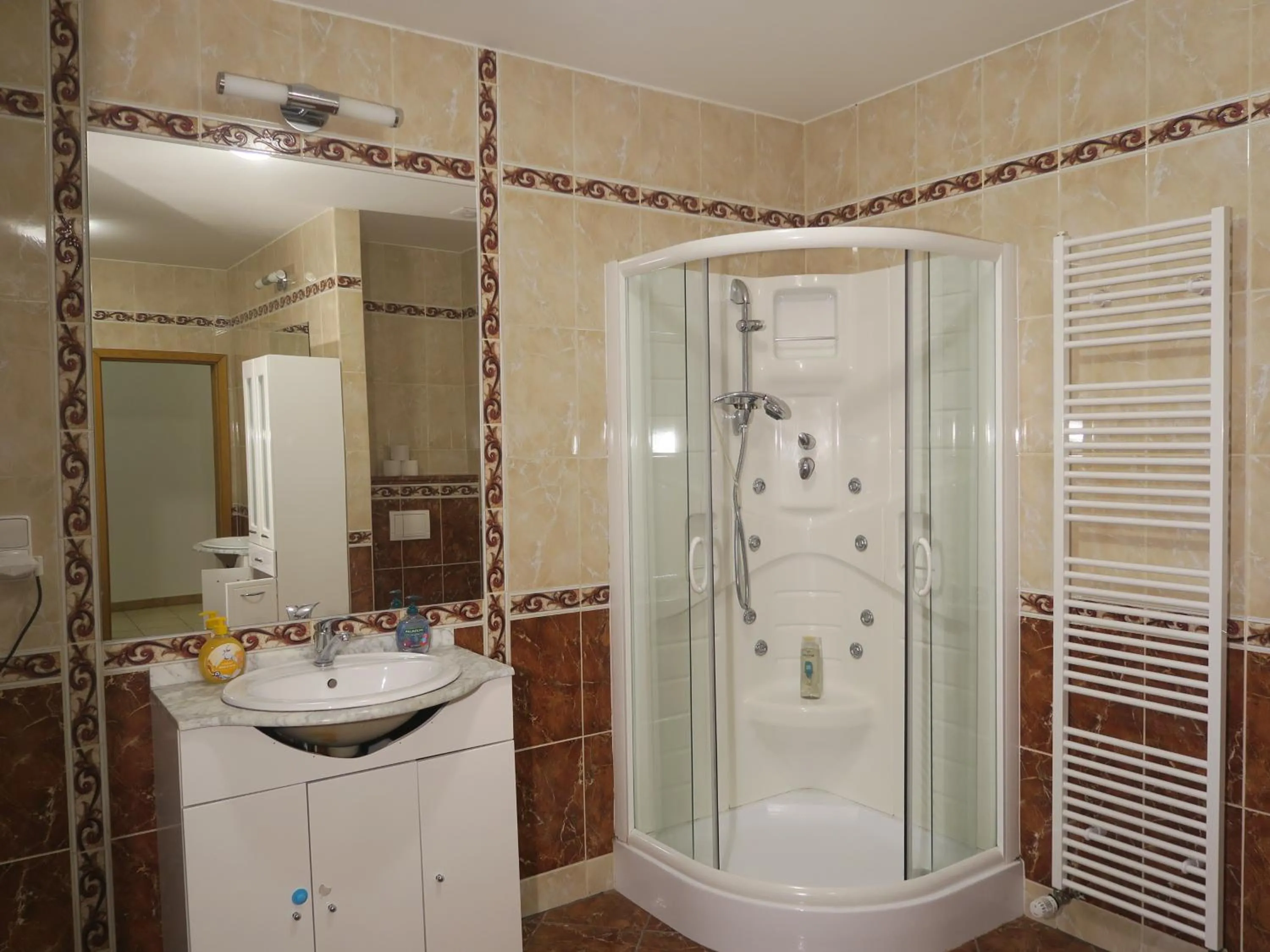 Bathroom in Apartments near Lesser Town