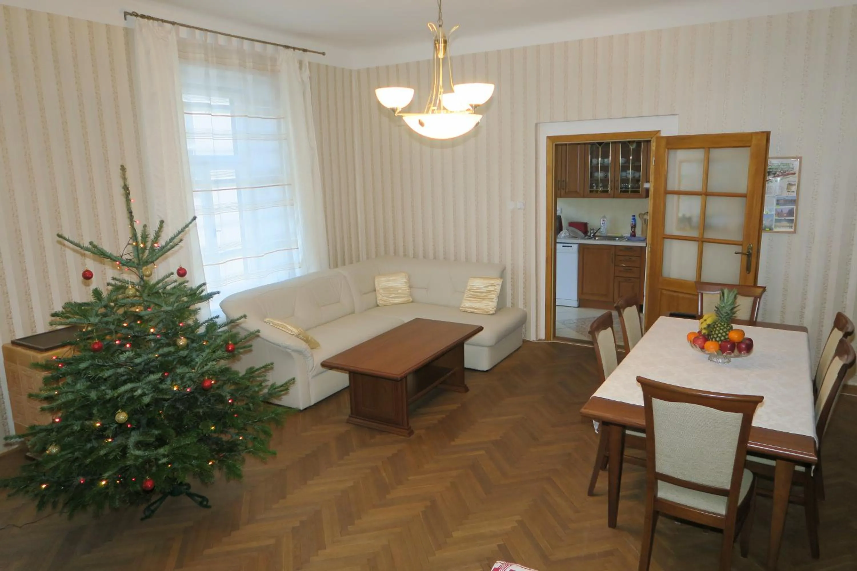 Living room in Apartments near Lesser Town