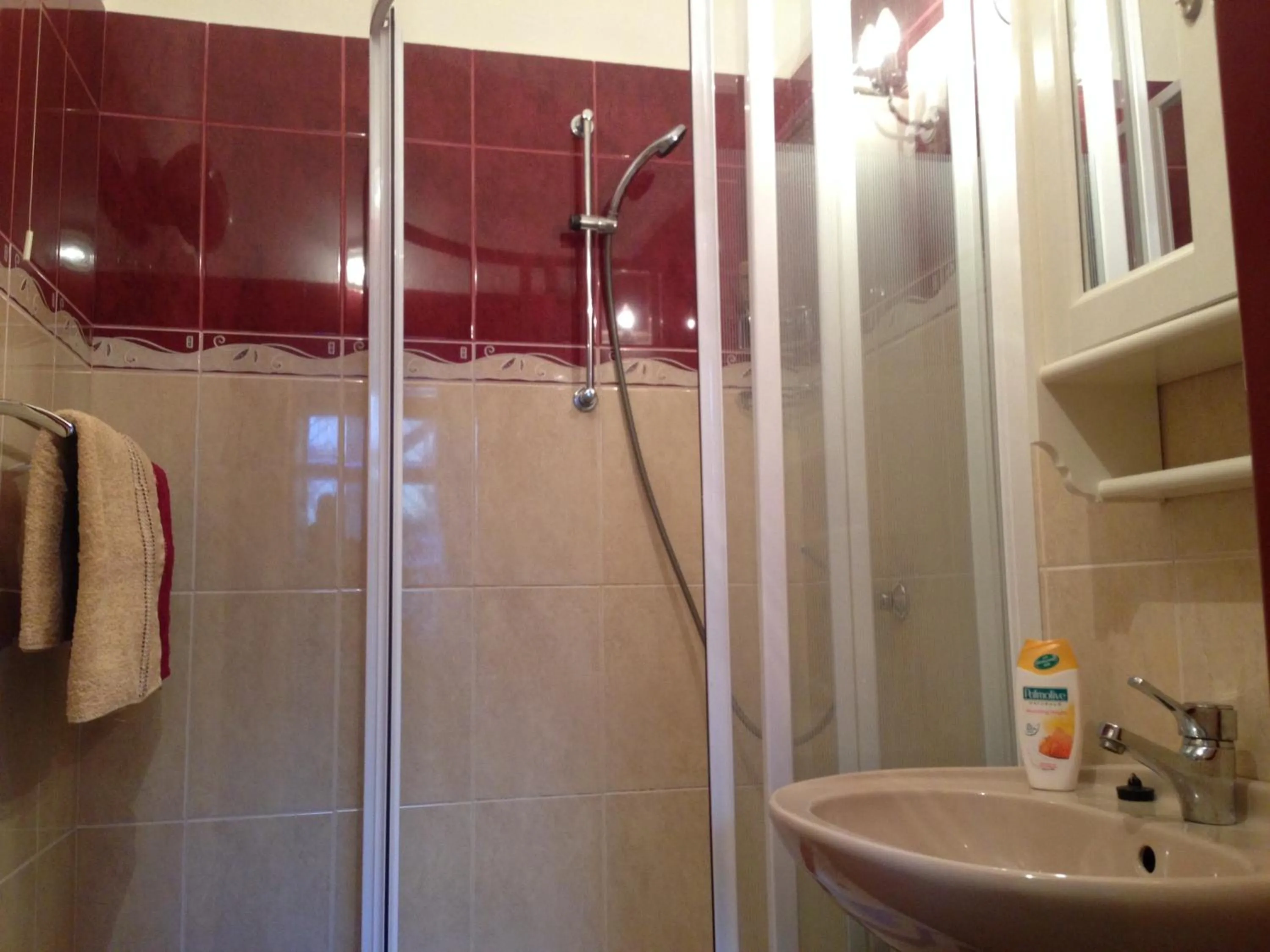 Bathroom in Apartments near Lesser Town